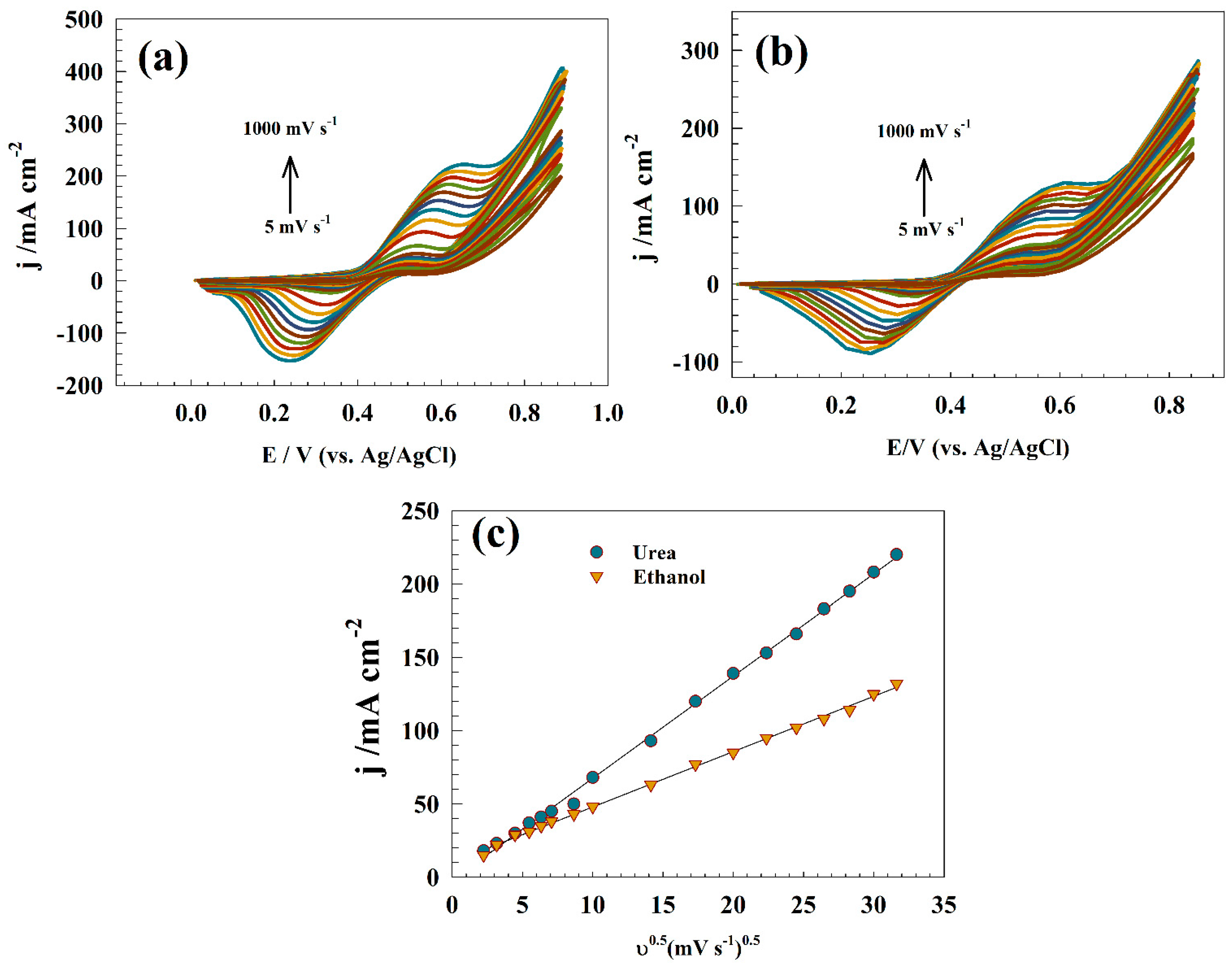 Catalysts 14 00329 g010