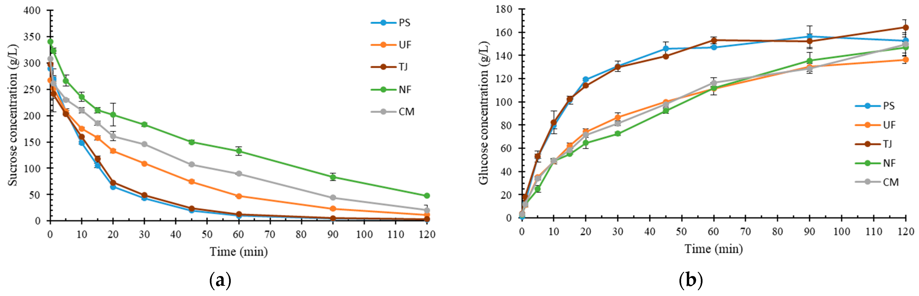 Catalysts 14 00330 g005