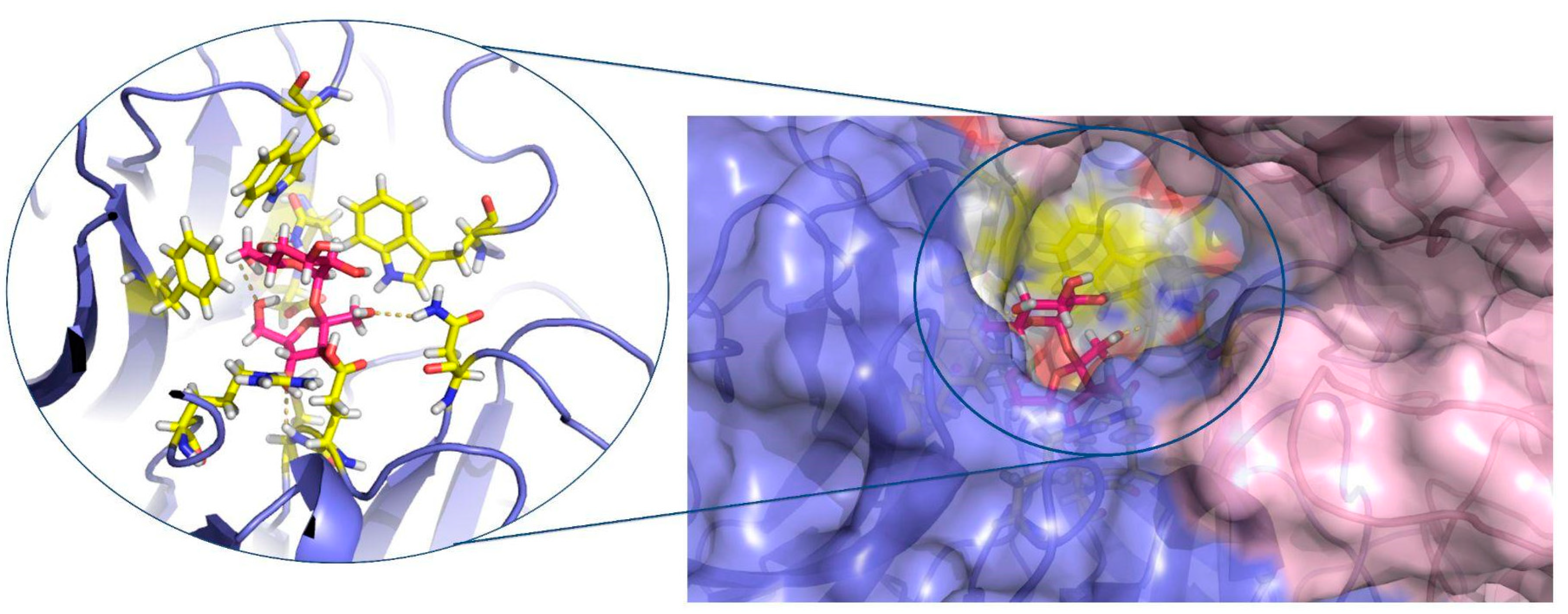 Catalysts 14 00330 g008