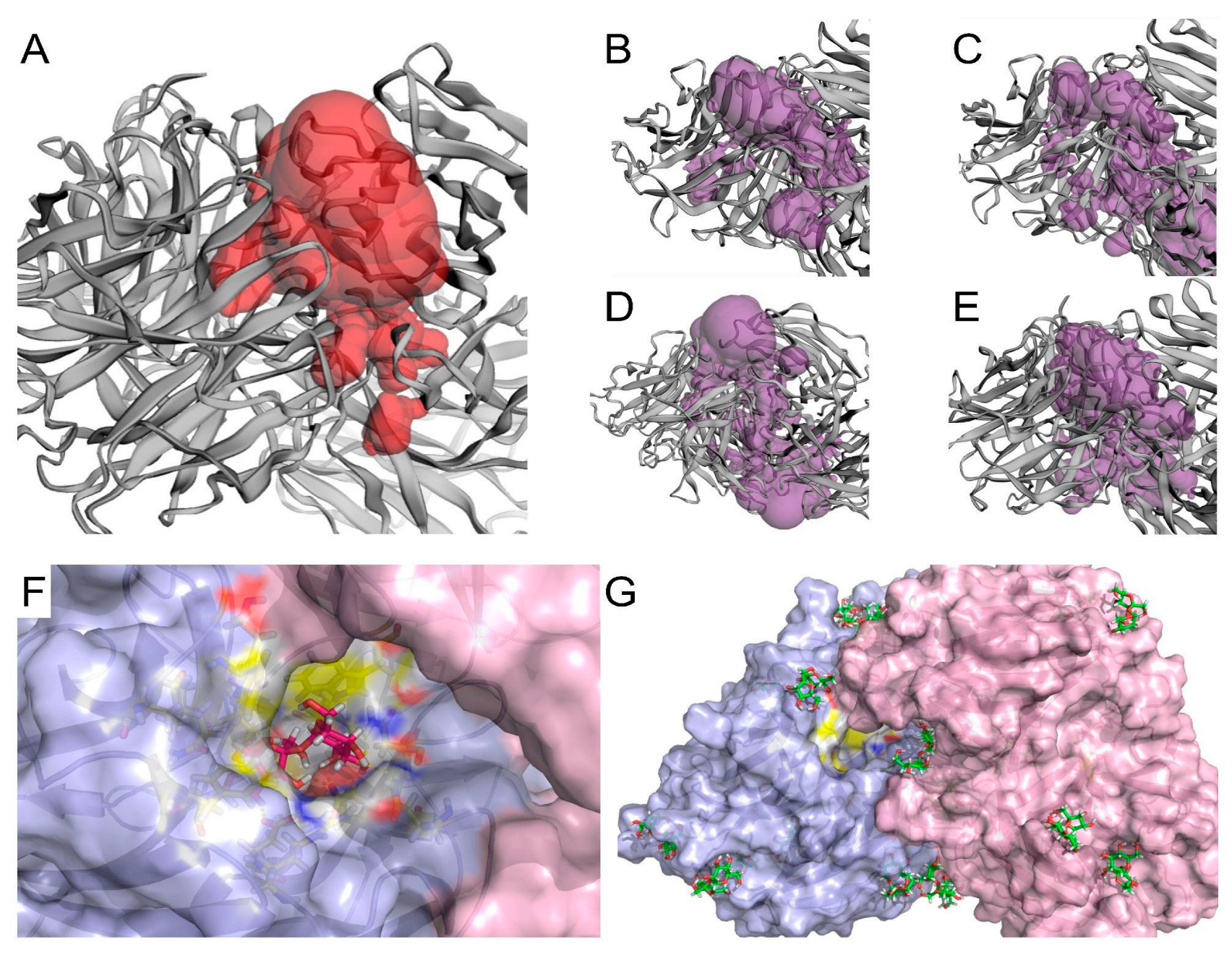 Catalysts 14 00330 g010
