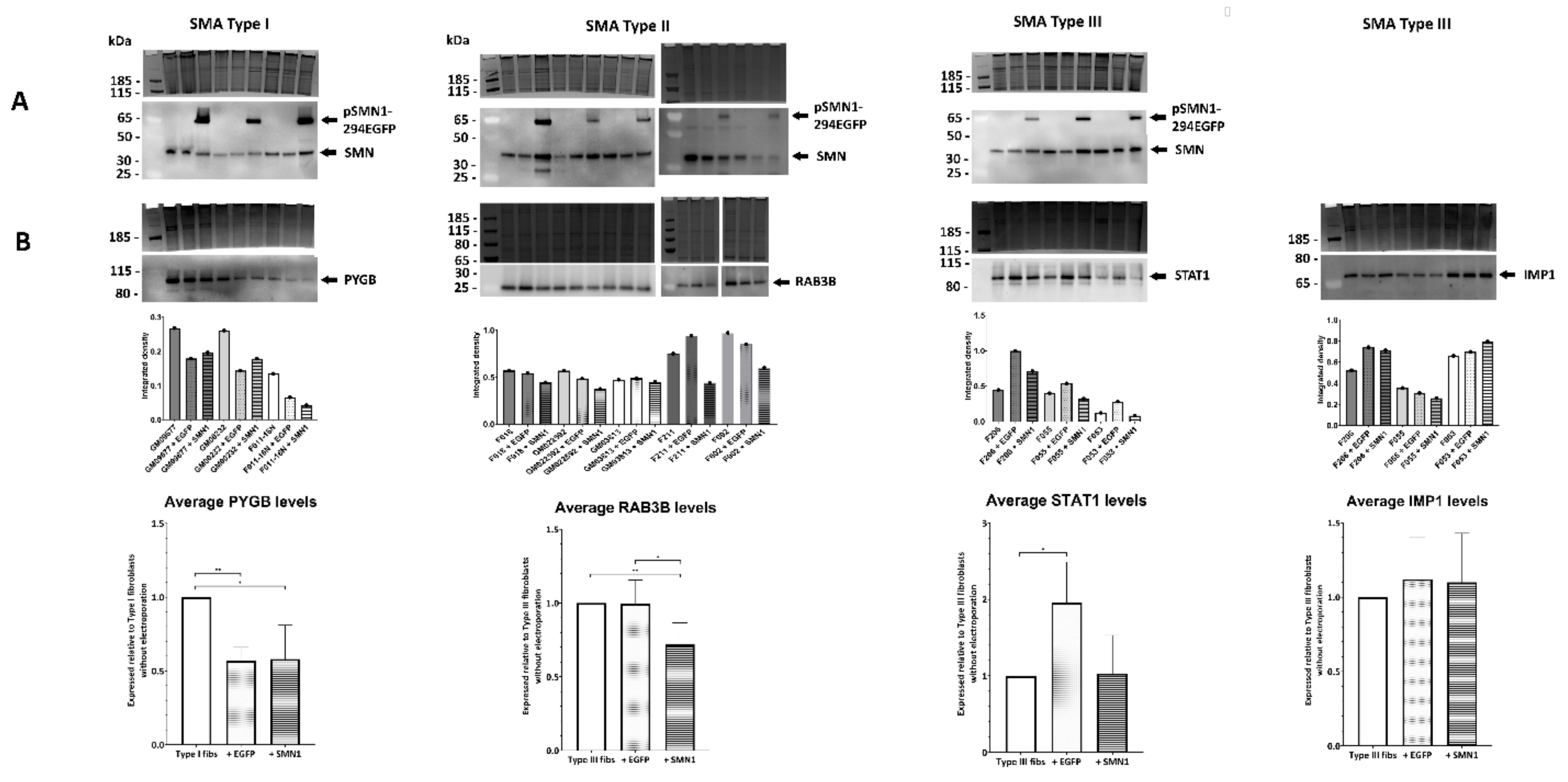 Cells 11 02624 g006