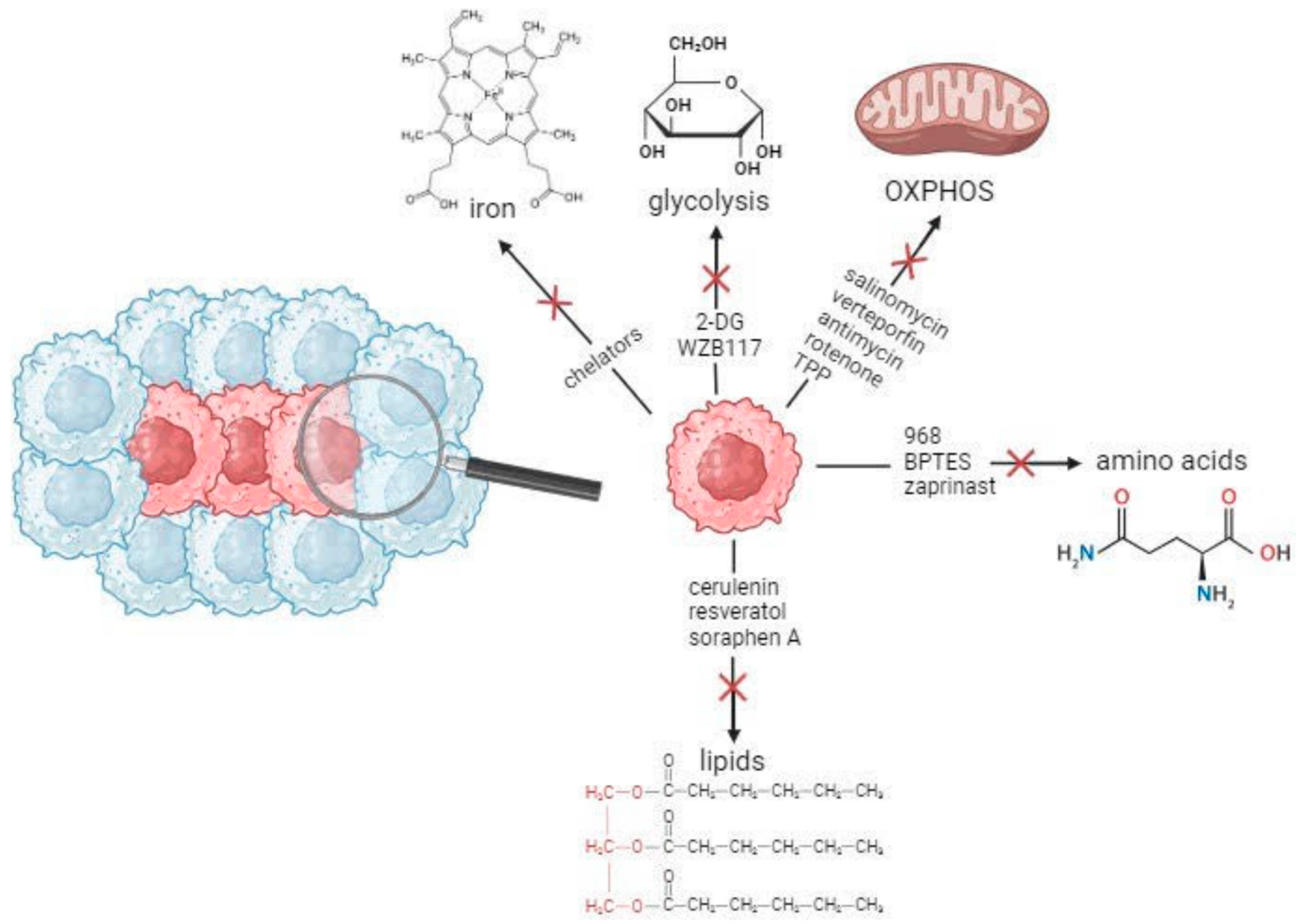 Cells 12 02686 g001