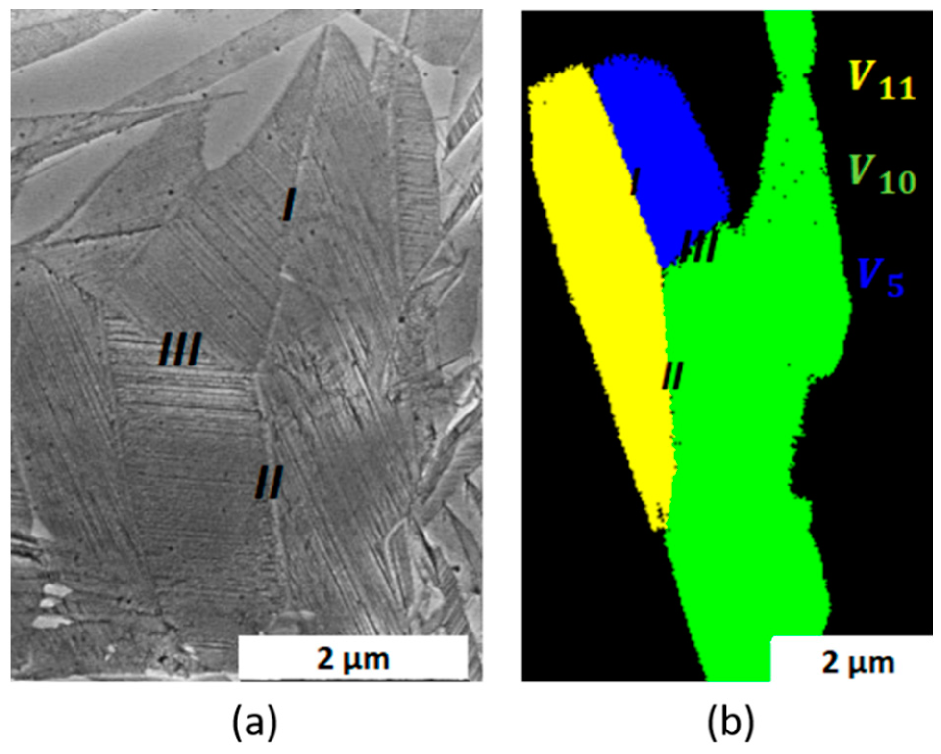 Crystals 14 00461 g007
