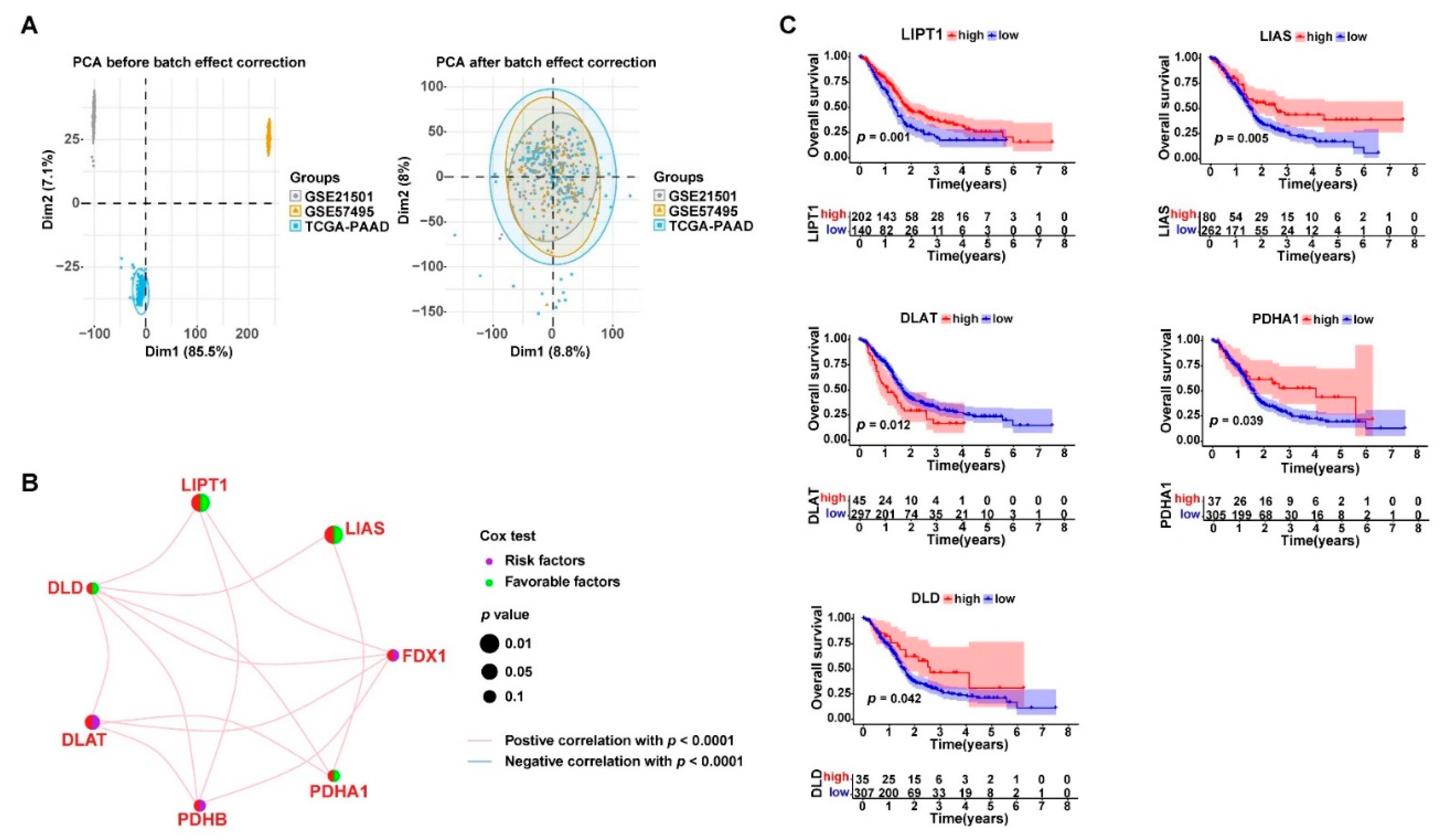 Curroncol 30 00126 g002