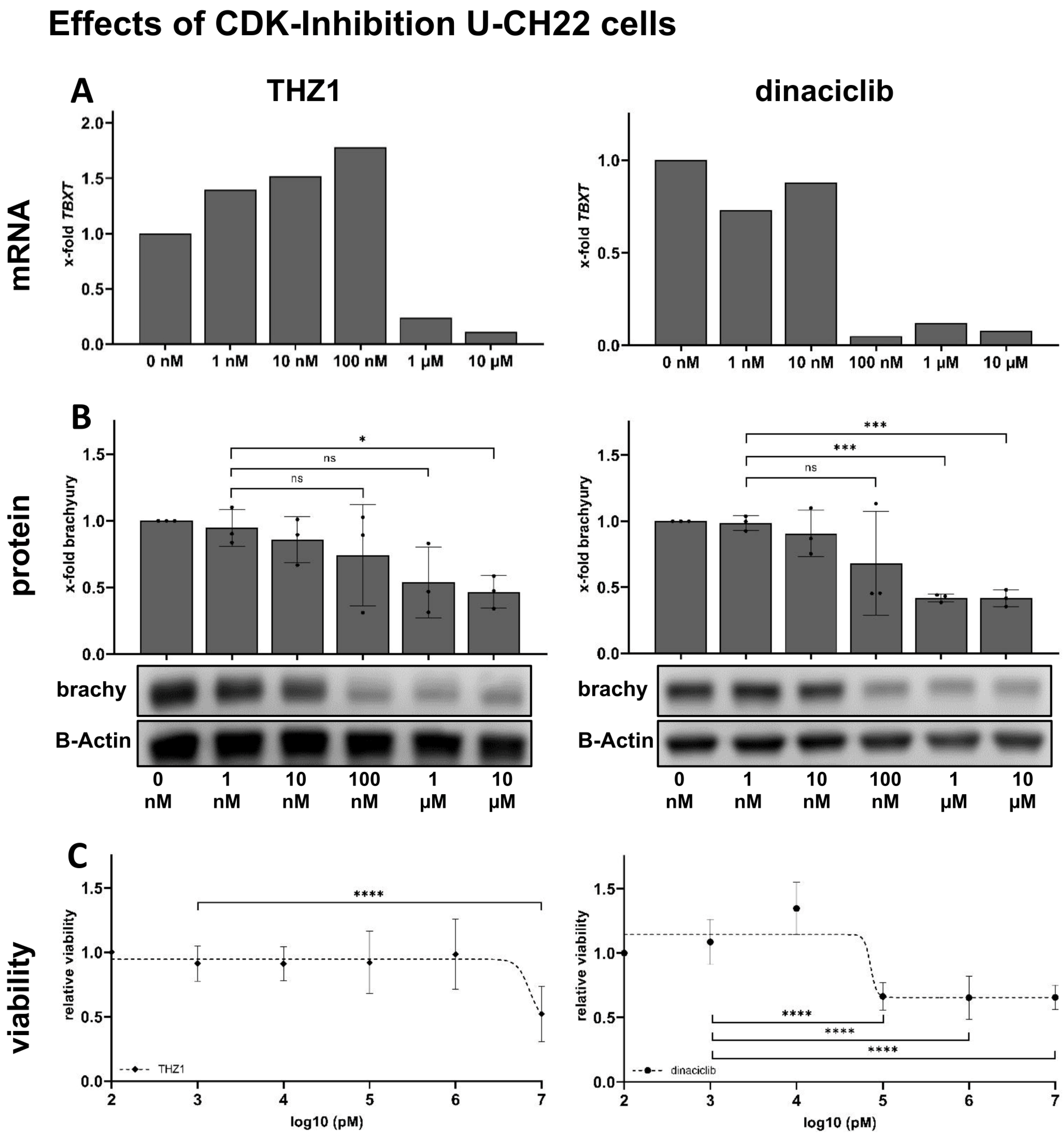Diagnostics 14 01028 g002