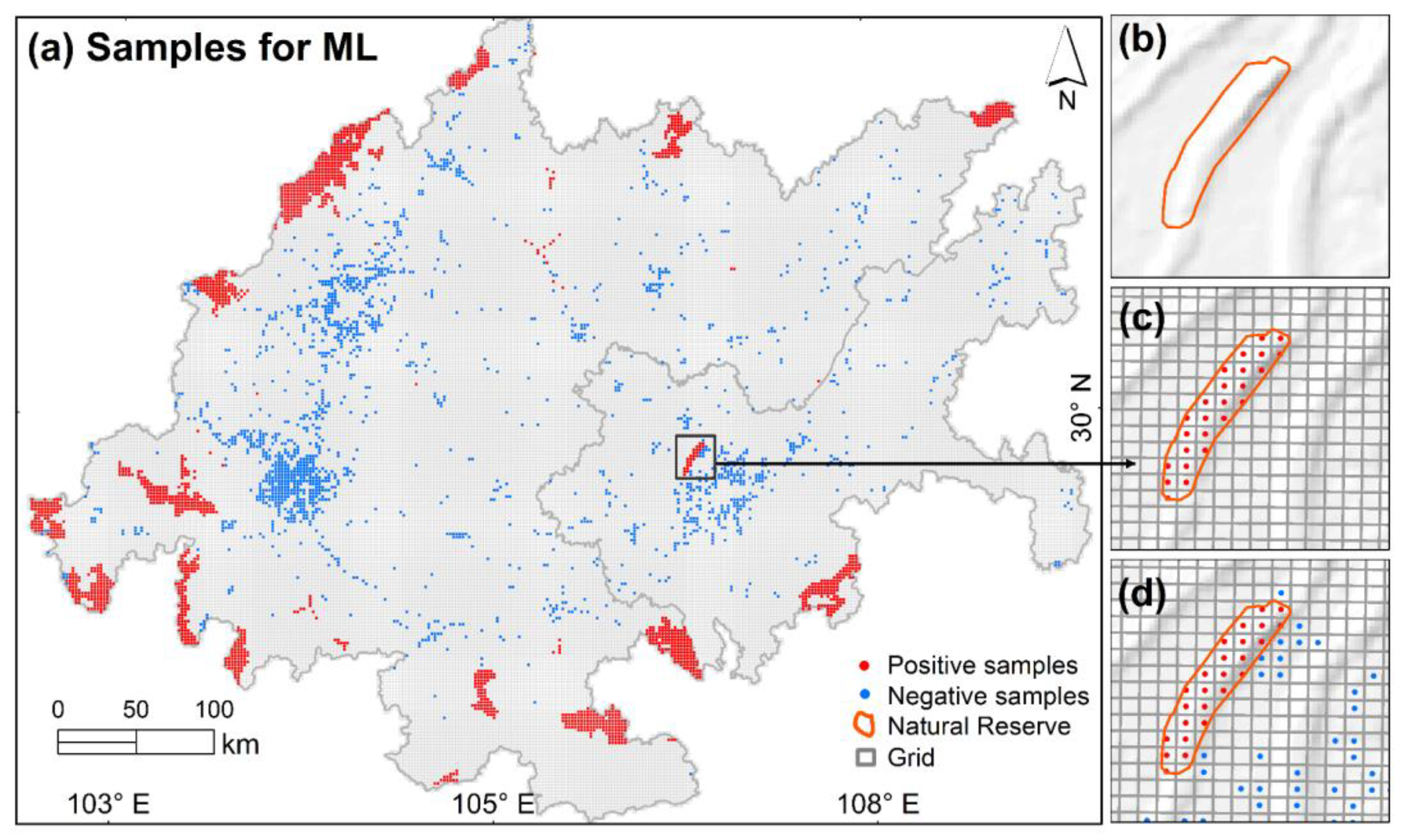 Diversity 16 00300 g006