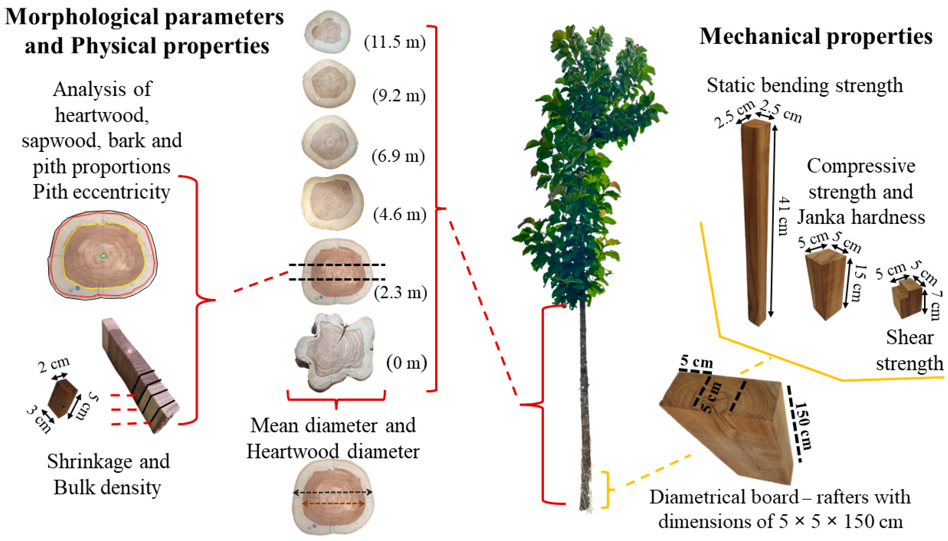 Forests 15 00860 g002 Forests 15 00860 g002