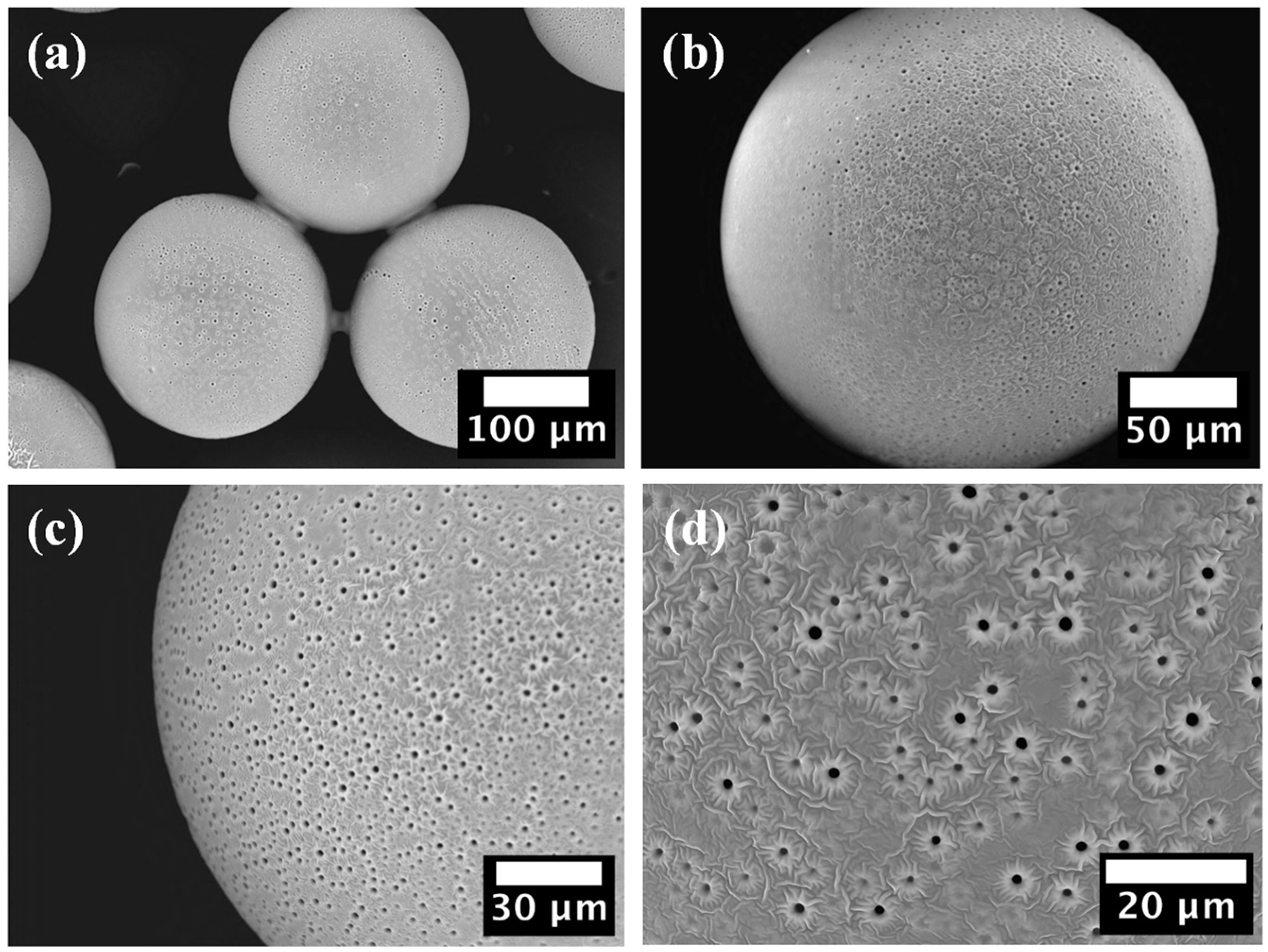 Gels 09 00849 g003