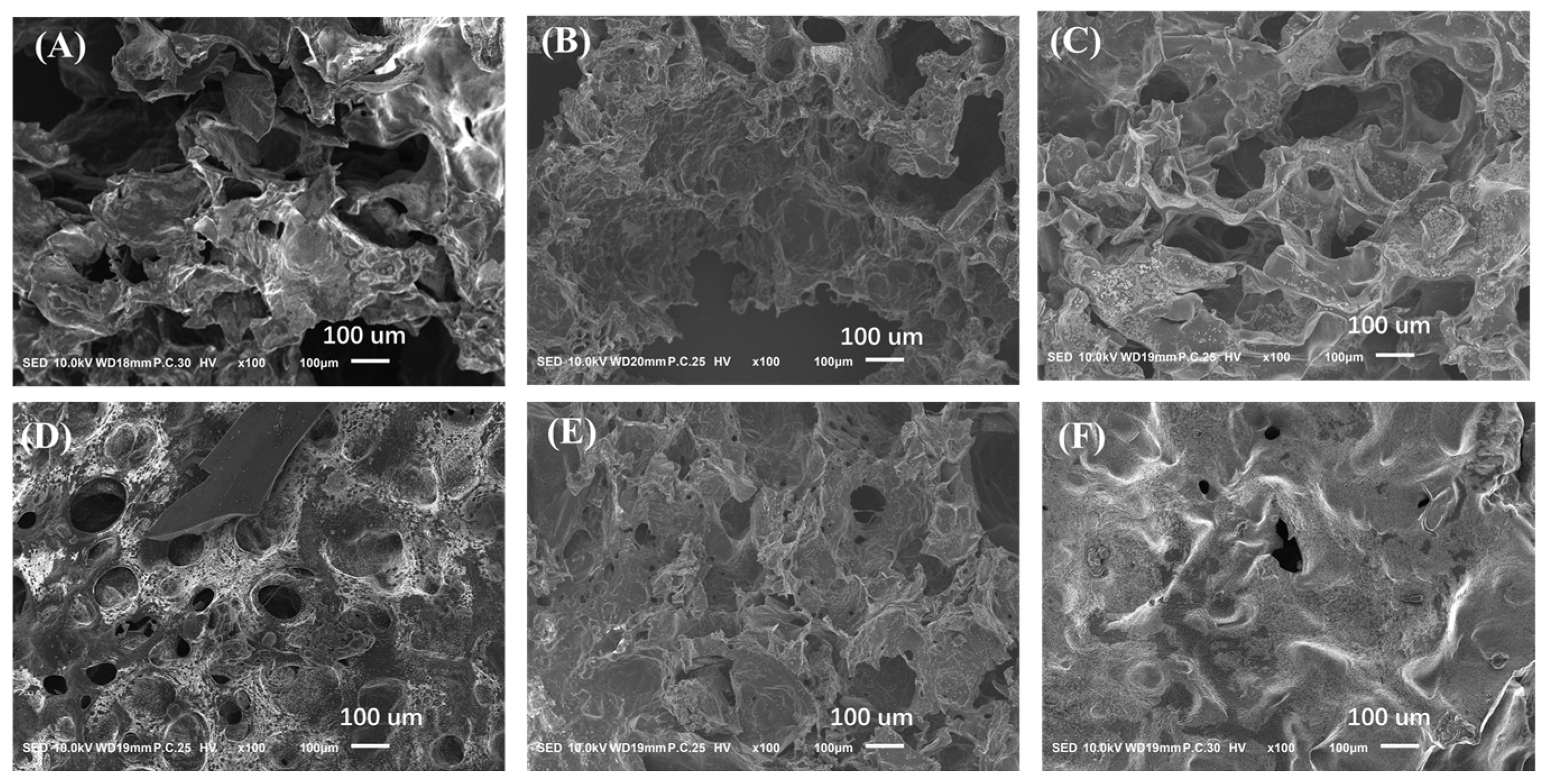 Gels 10 00278 g002