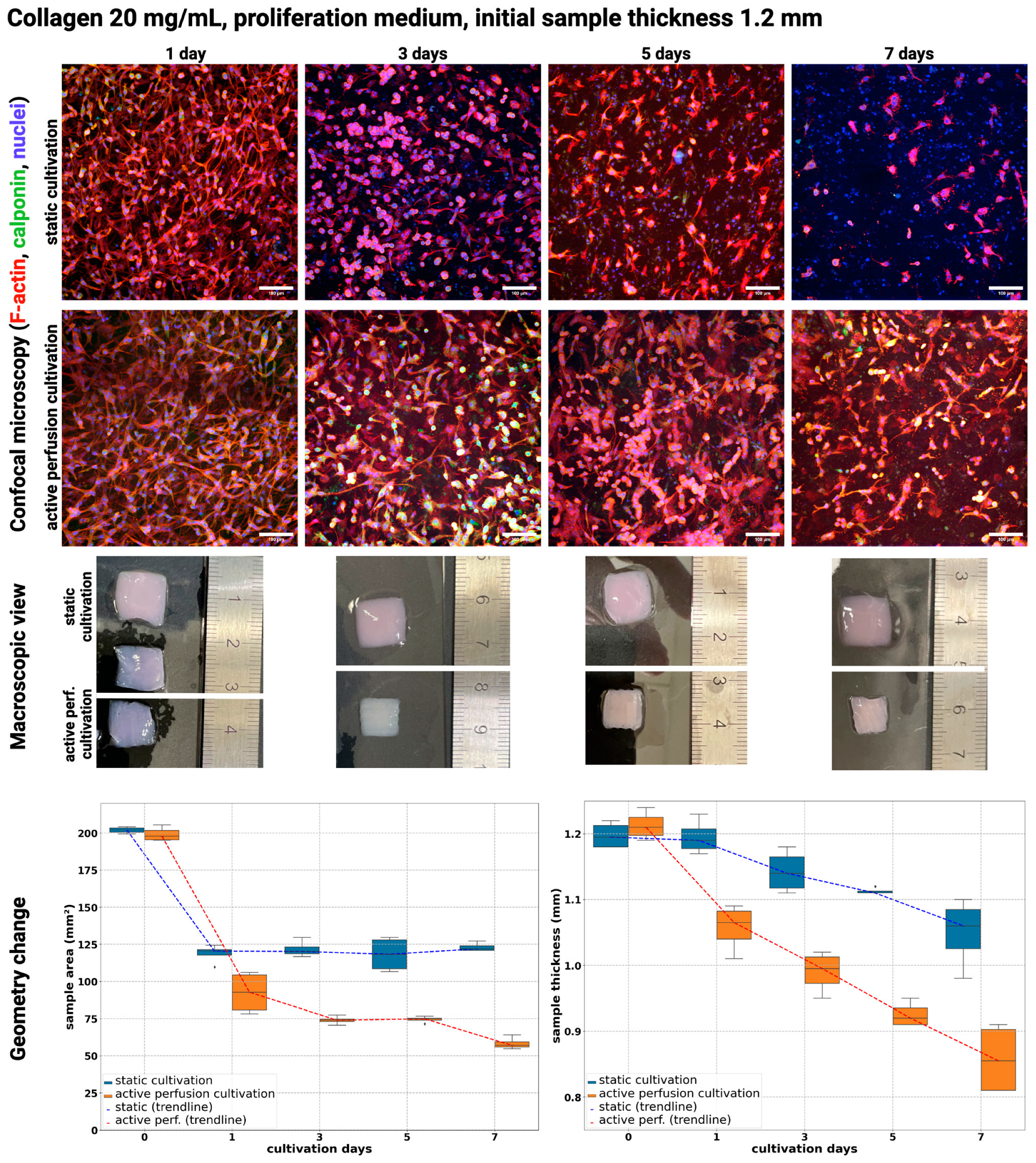 Gels 10 00316 g003