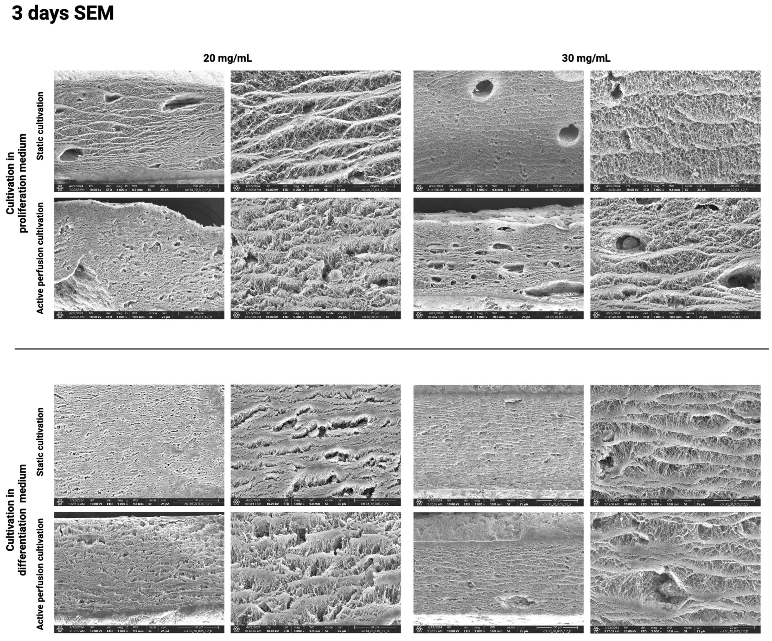 Gels 10 00316 g011