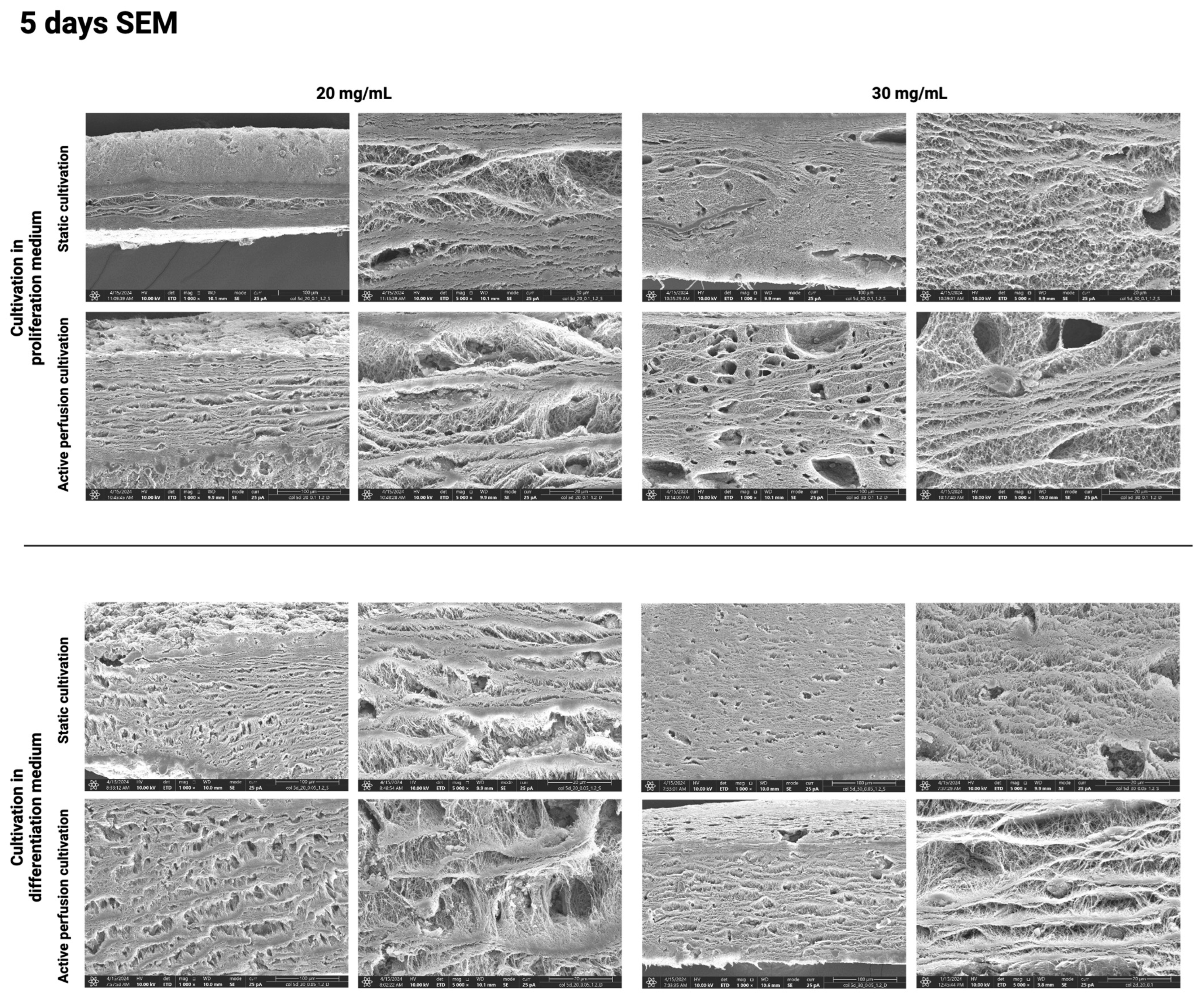Gels 10 00316 g012