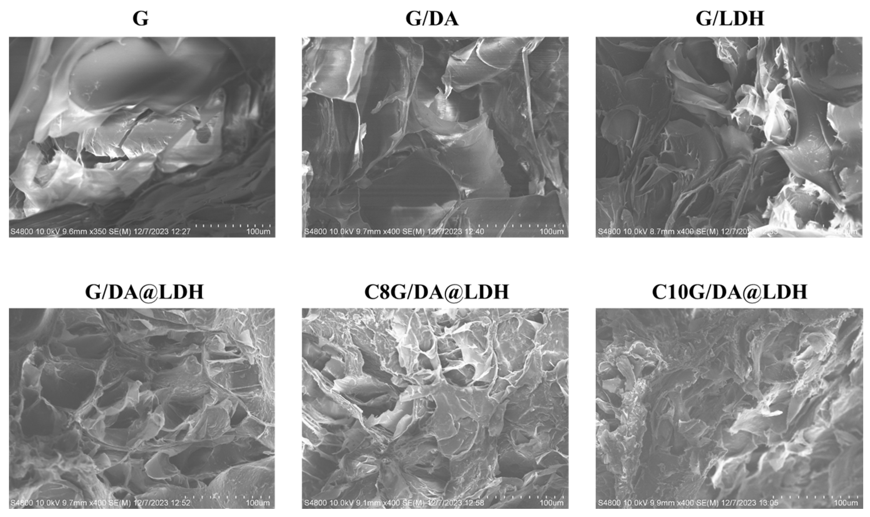Gels 10 00318 g003