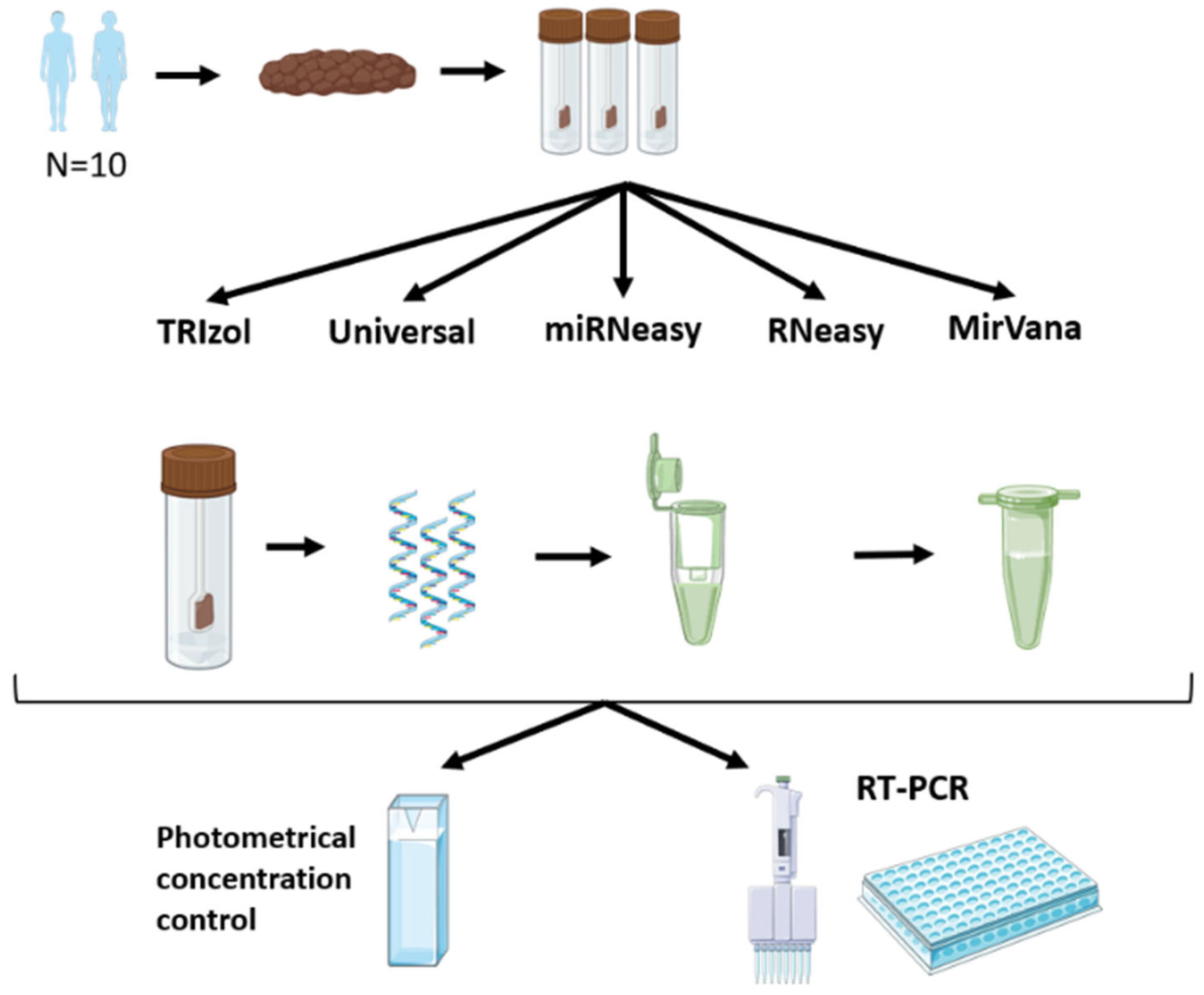 Genes 15 00498 g001