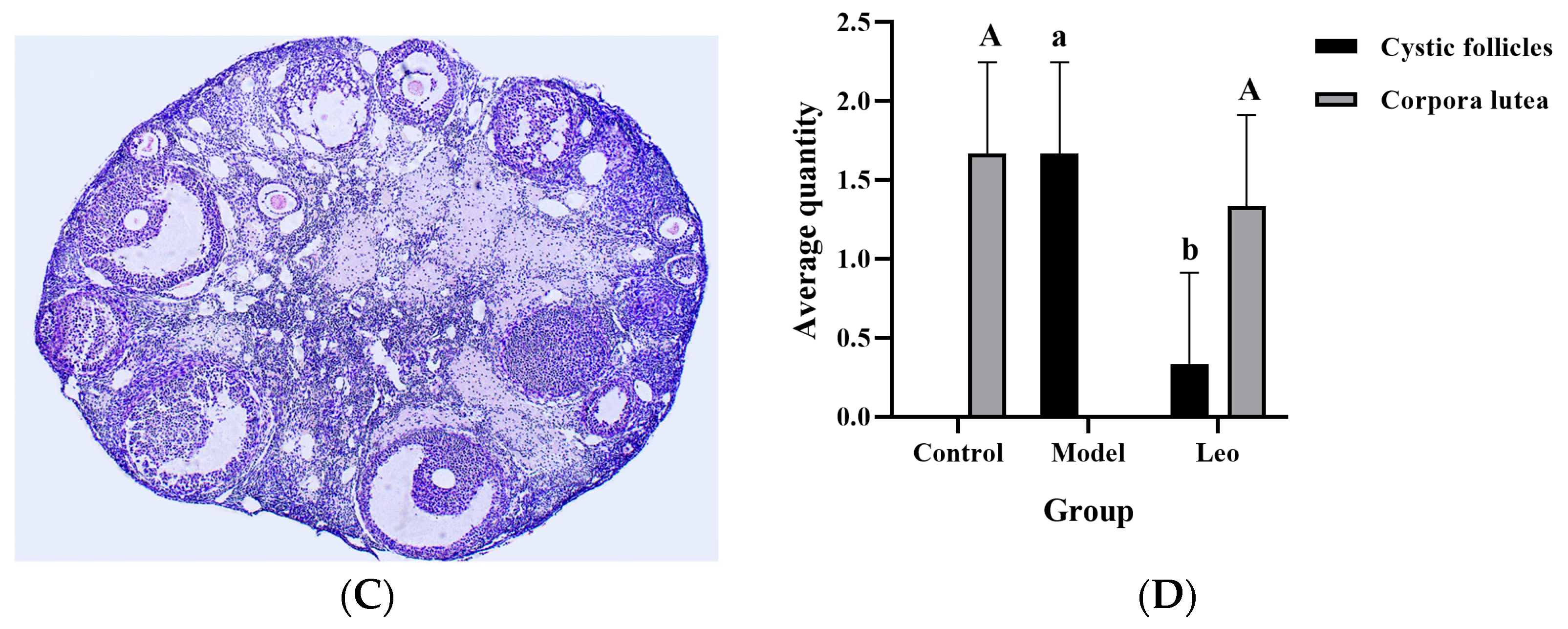 Genes 15 00507 g003b