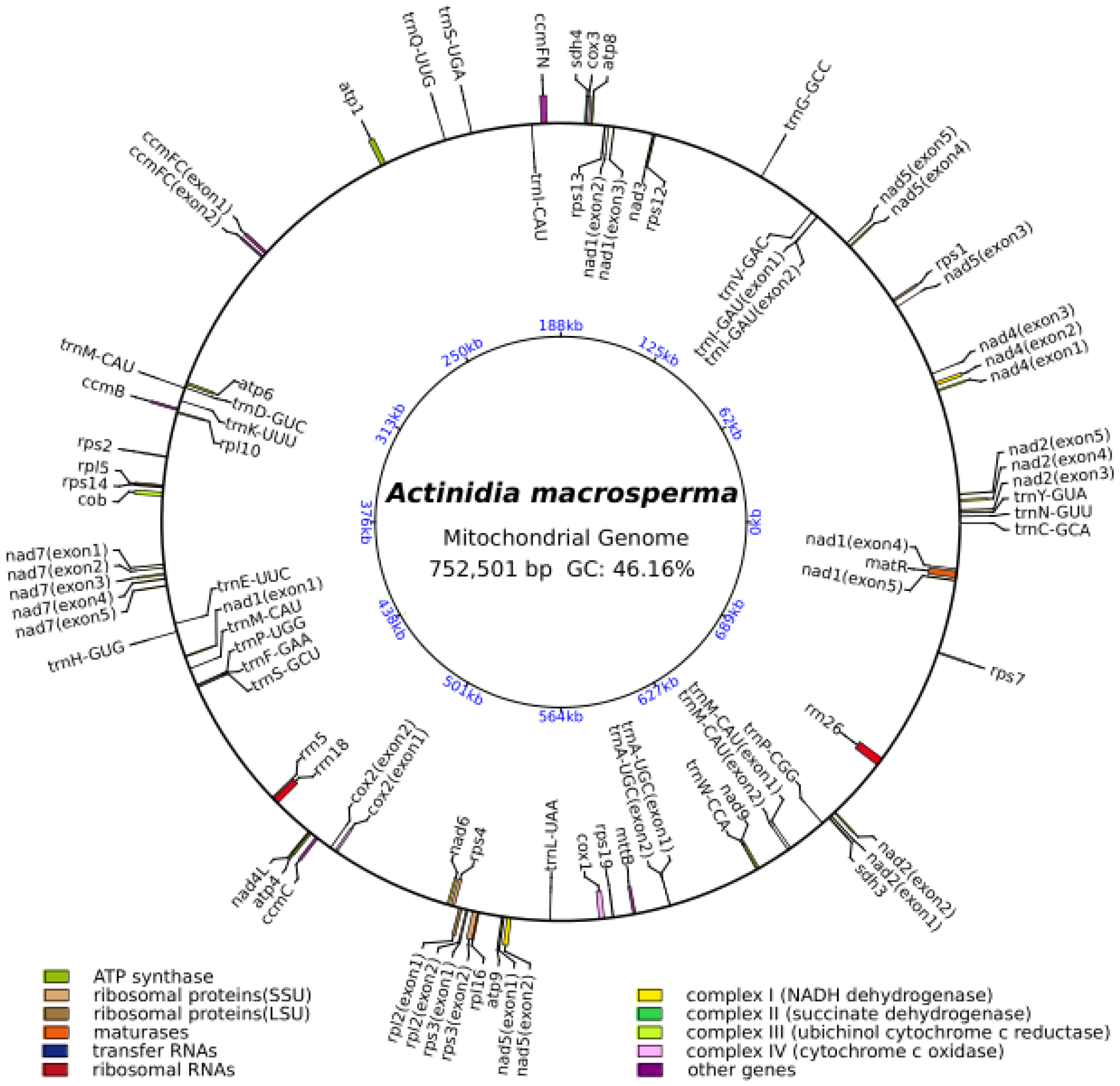 Genes 15 00514 g001