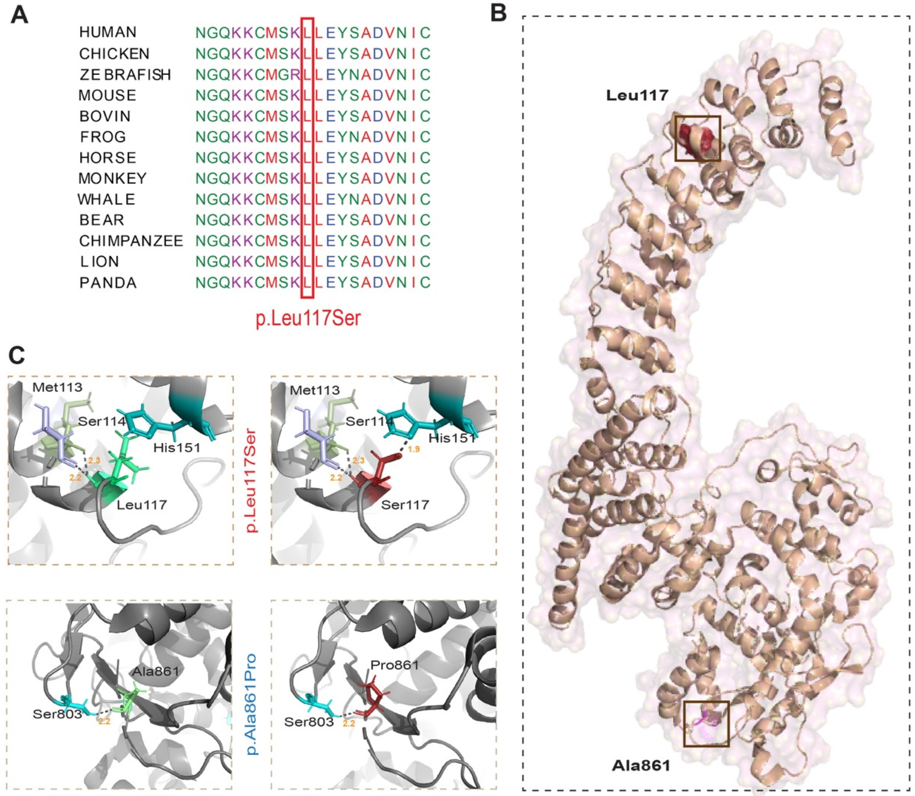 Genes 15 00580 g002