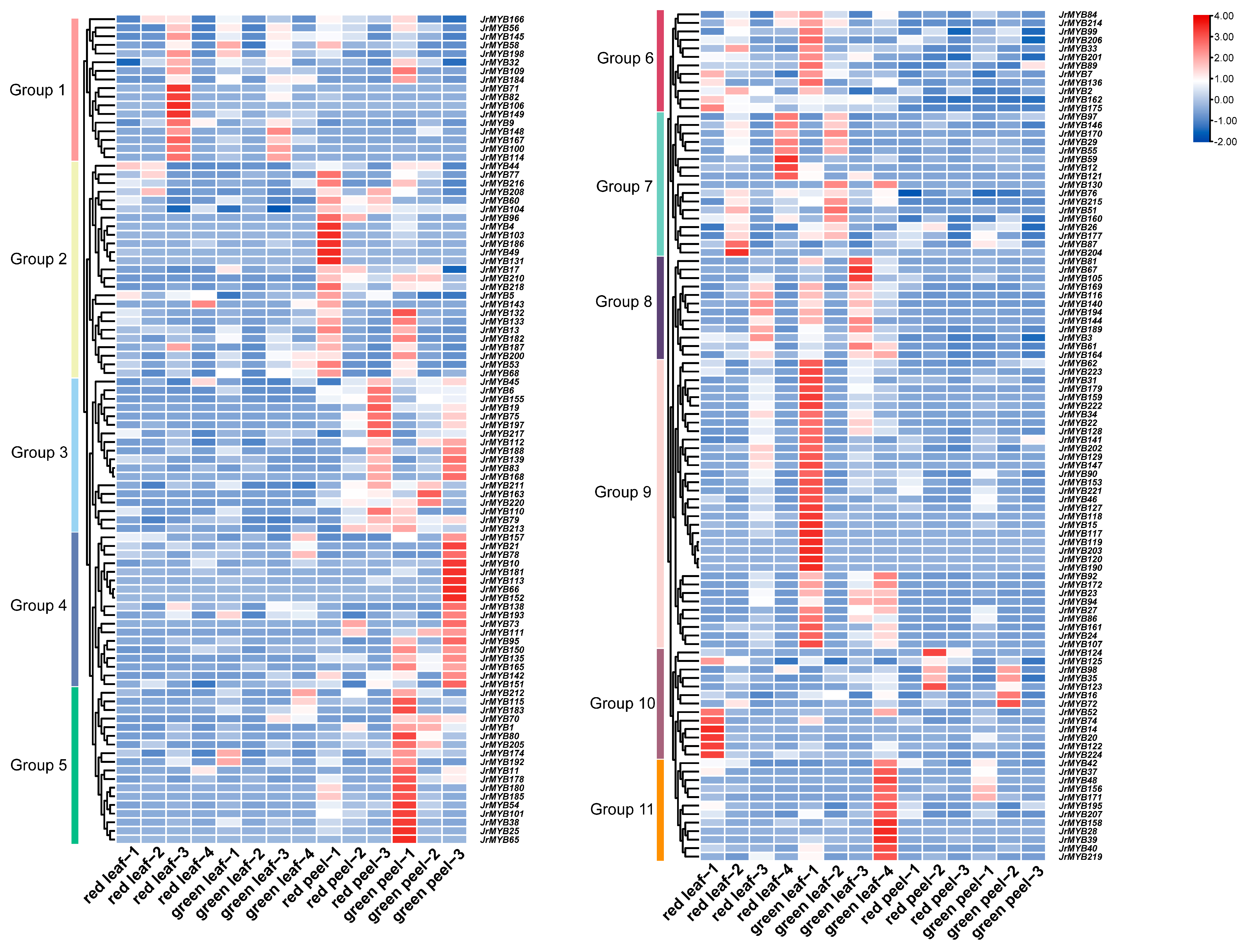 Genes 15 00587 g007