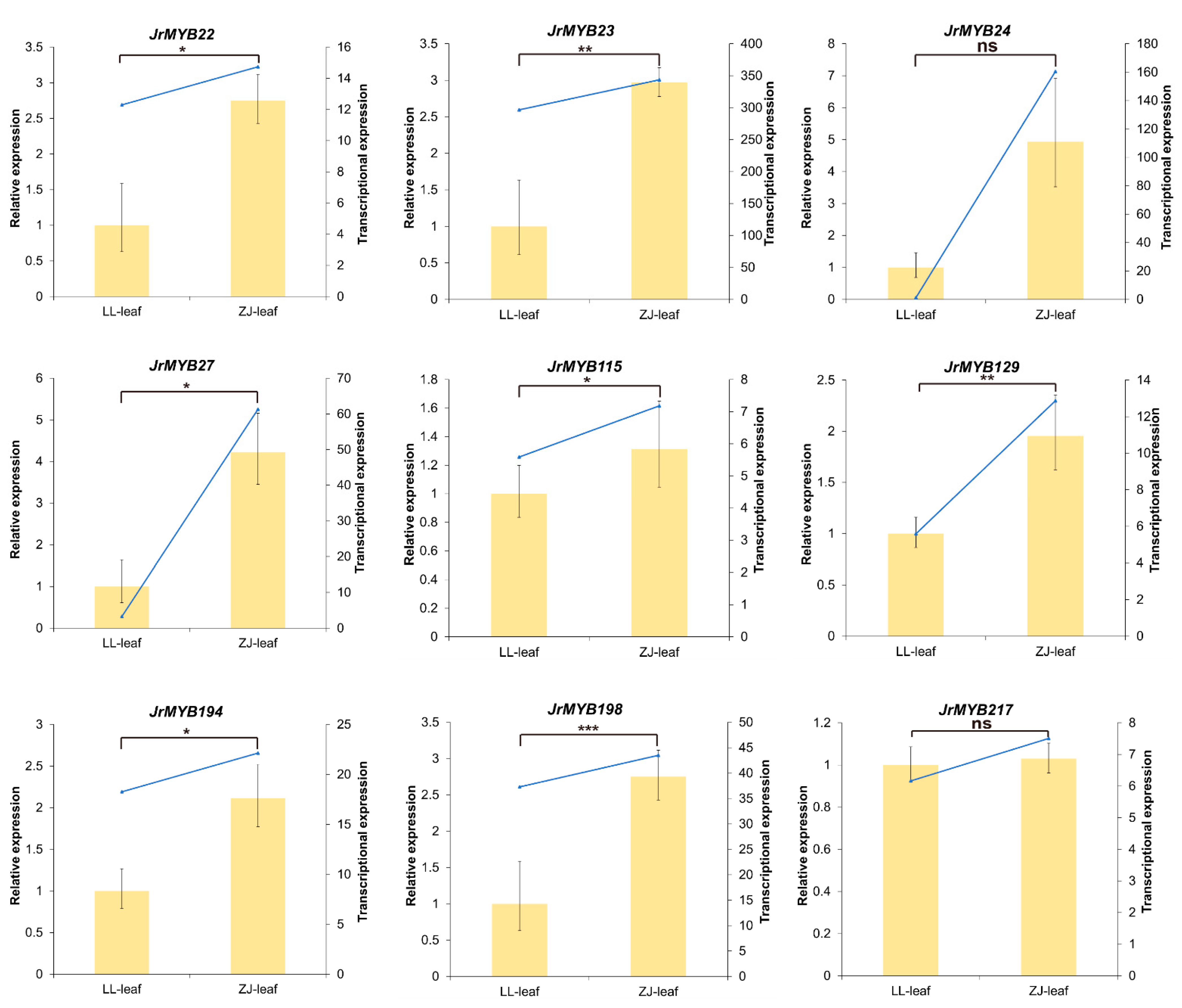 Genes 15 00587 g009