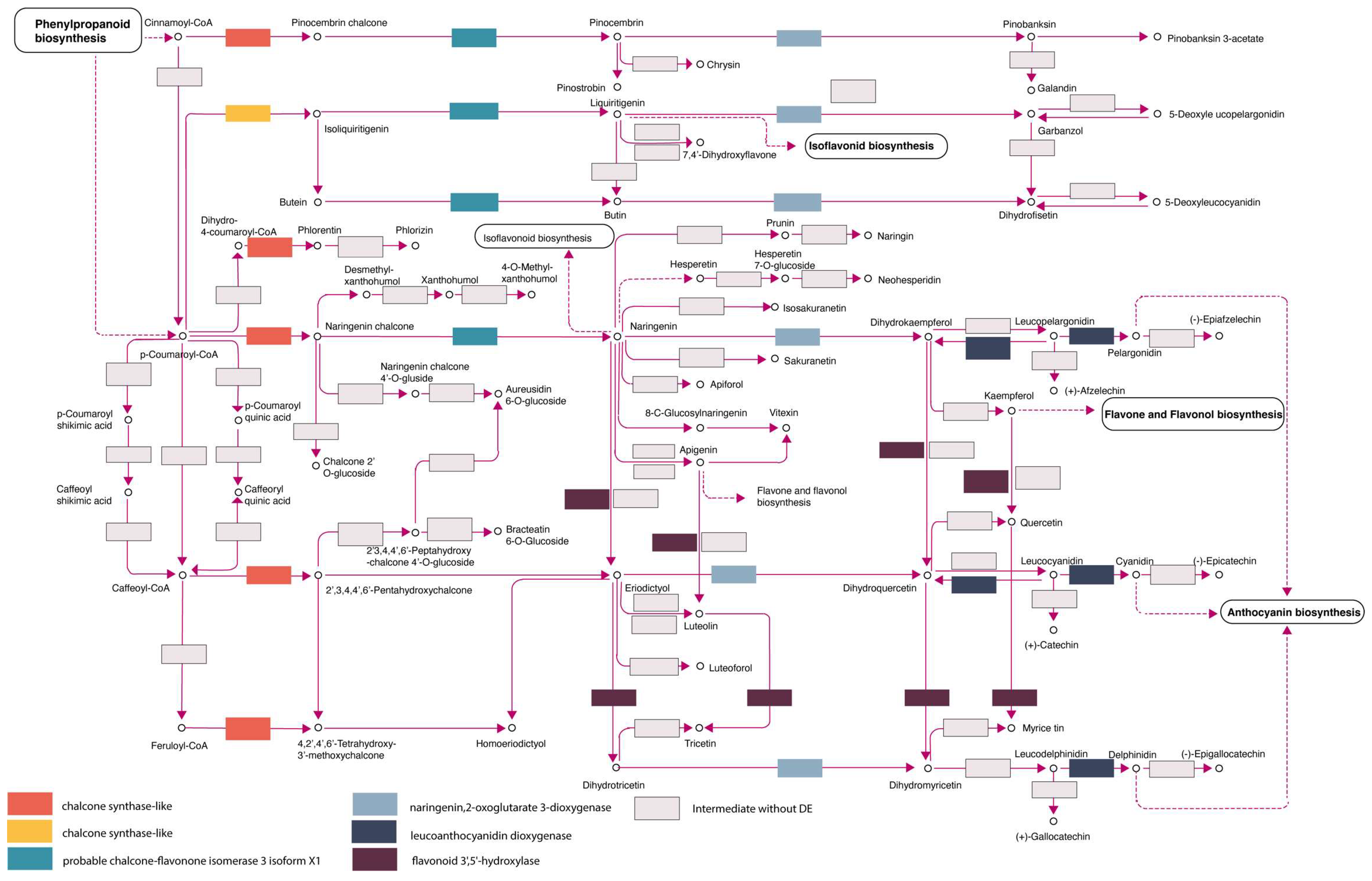 Genes 15 00602 g006