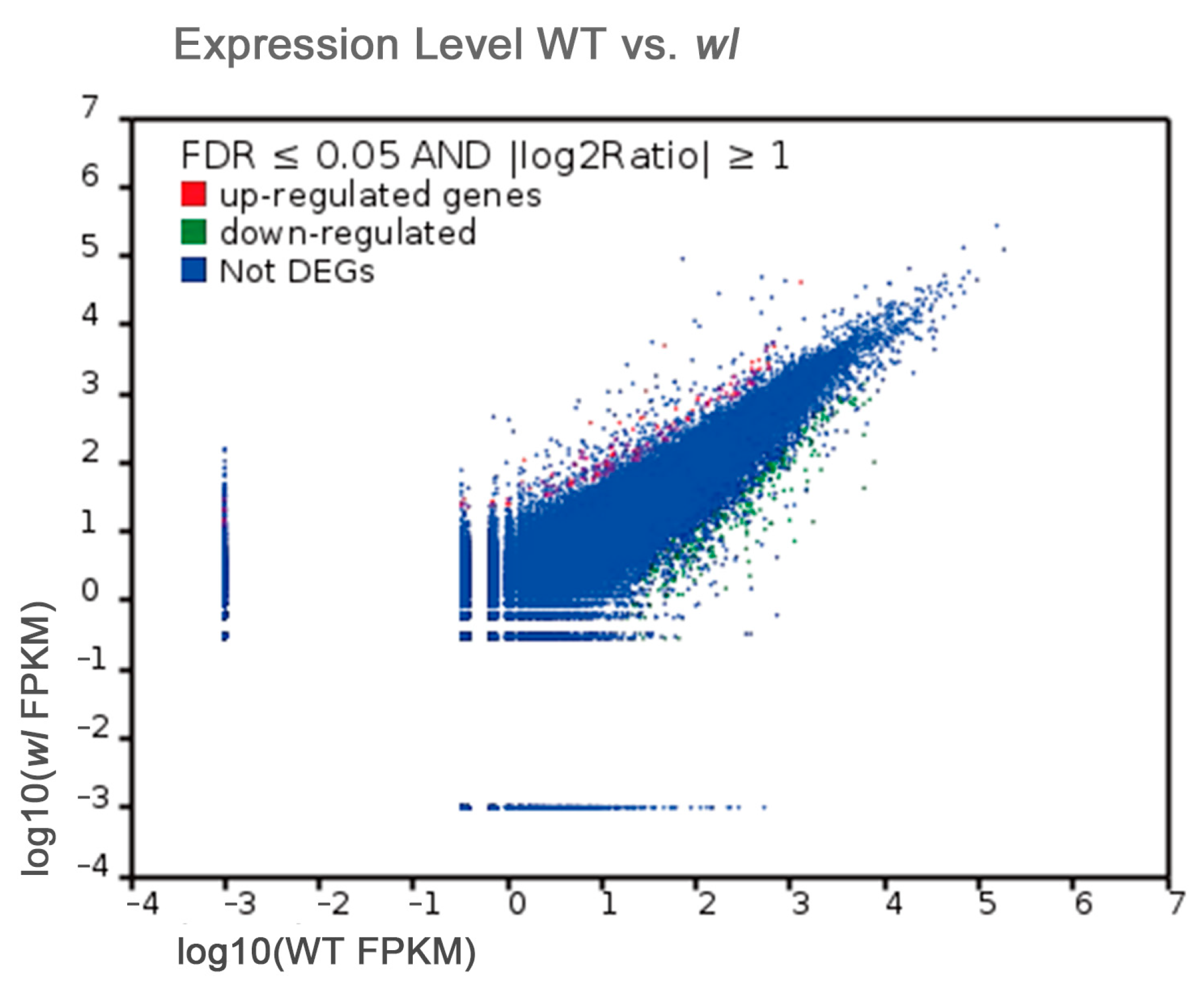 Genes 15 00608 g007 Genes 15 00608 g007