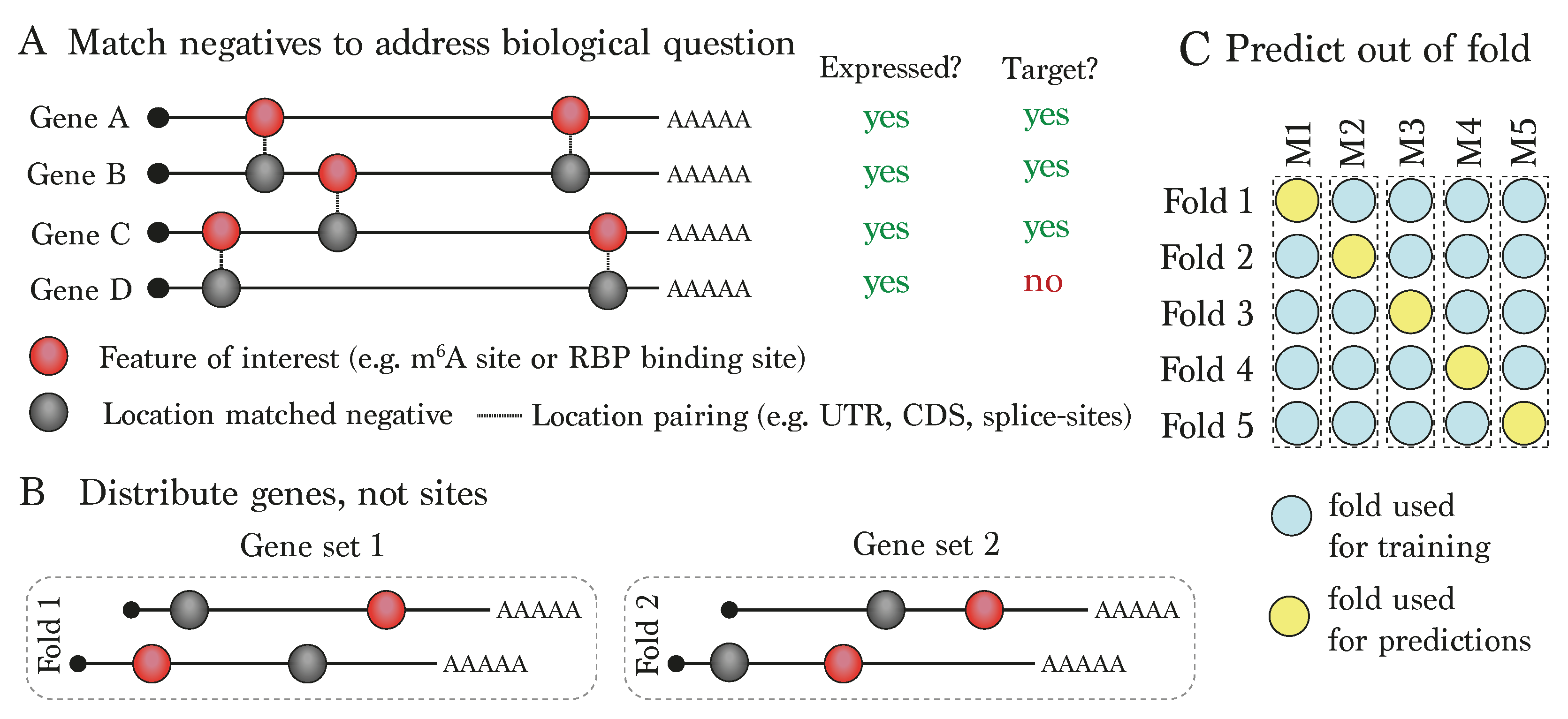 Genes 15 00629 g003
