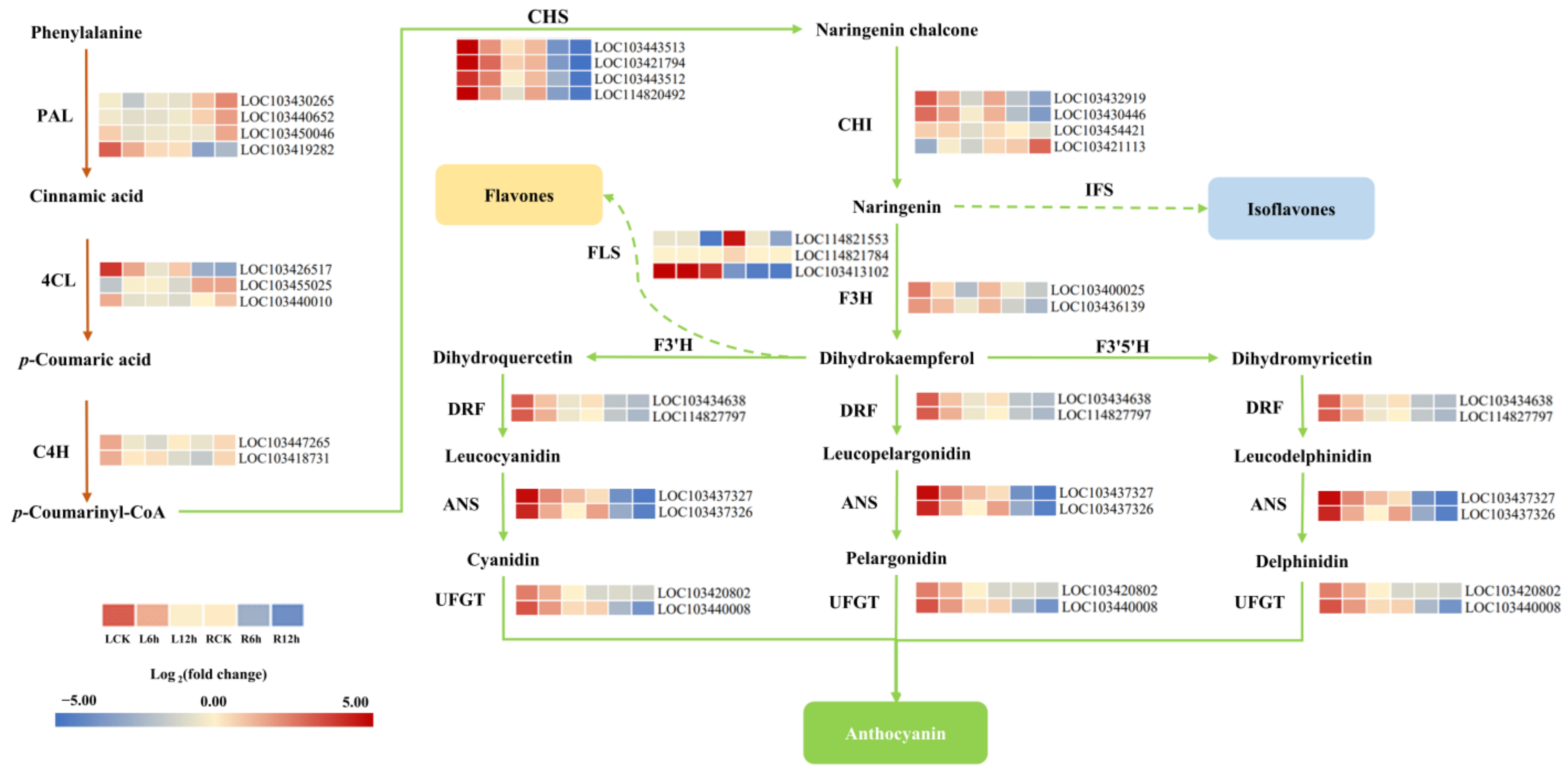 Horticulturae 10 00510 g005