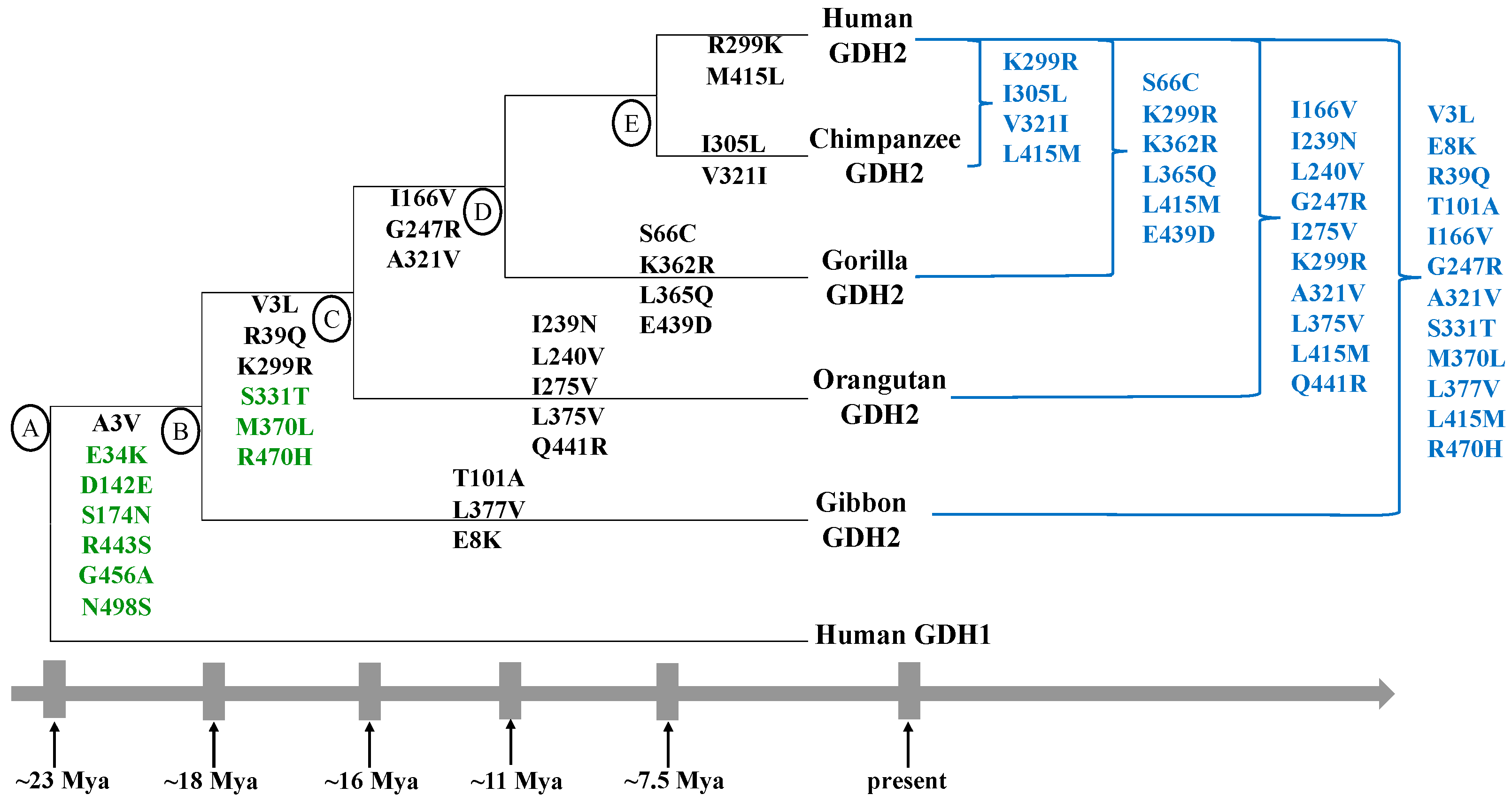 Ijms 25 05297 g001 Ijms 25 05297 g001