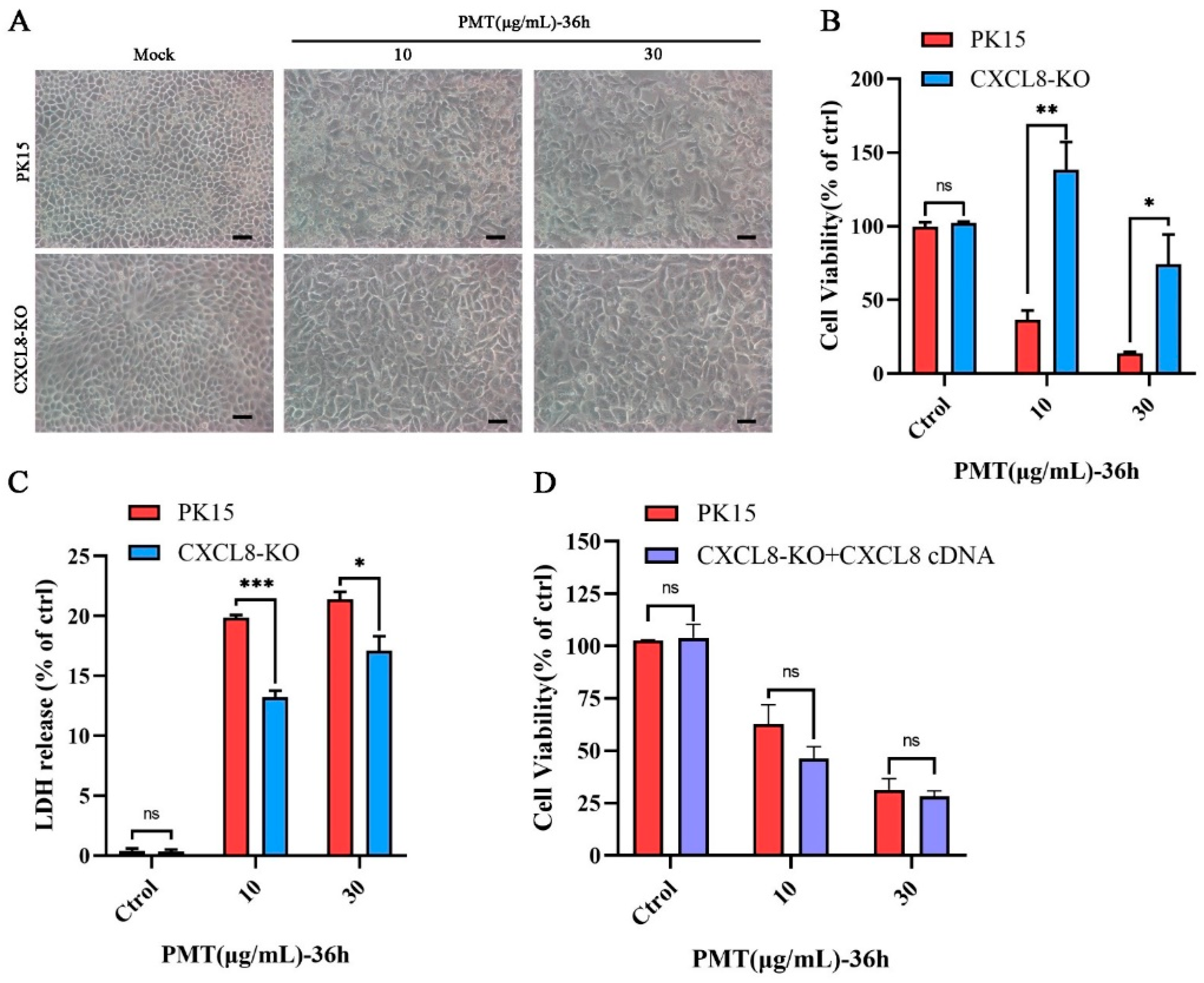Ijms 25 05330 g004 Ijms 25 05330 g004