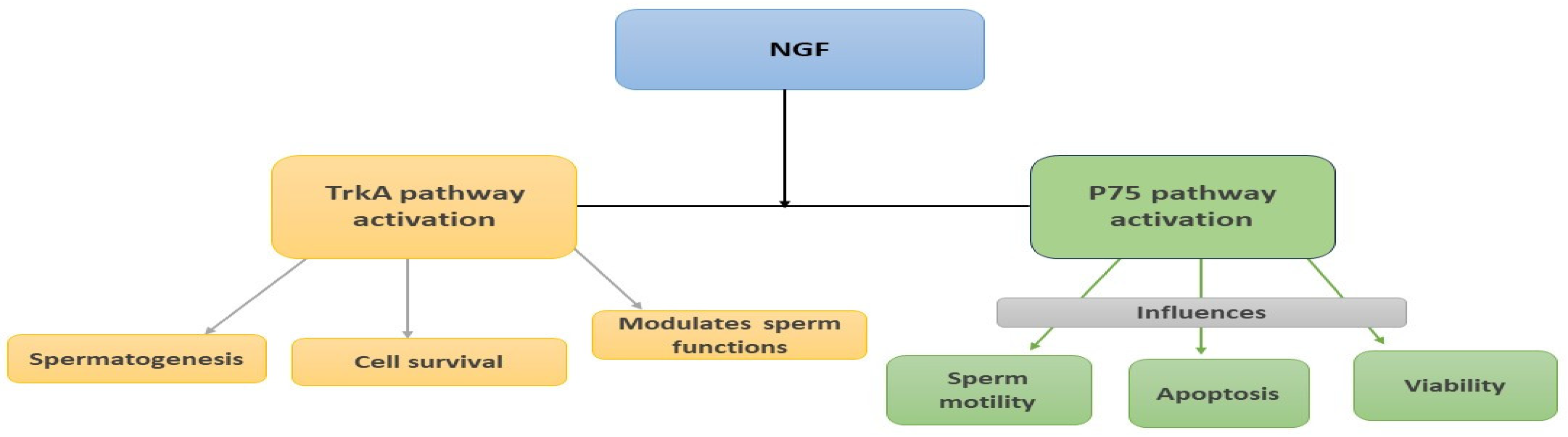Jcm 13 02918 g001 Jcm 13 02918 g001