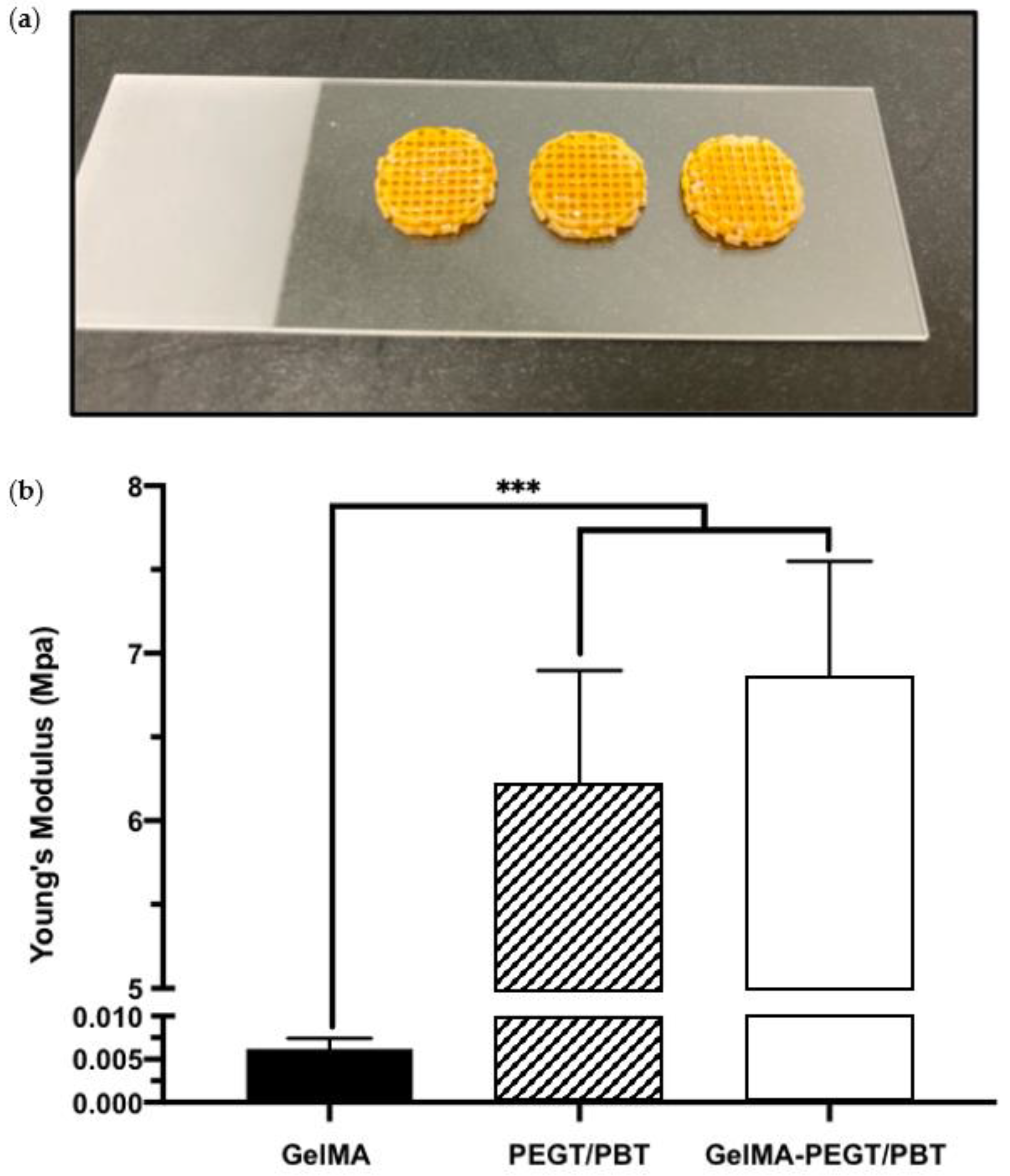 Jfb 13 00041 g005