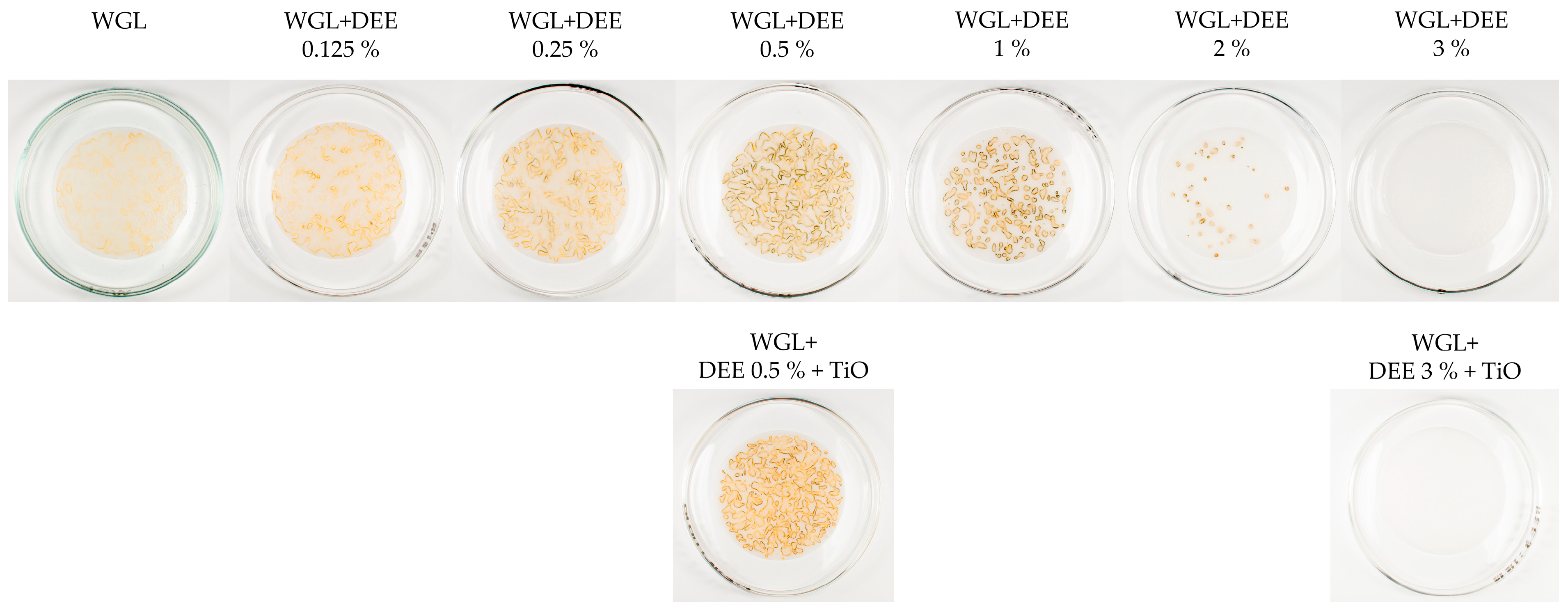 Lubricants 12 00178 g003