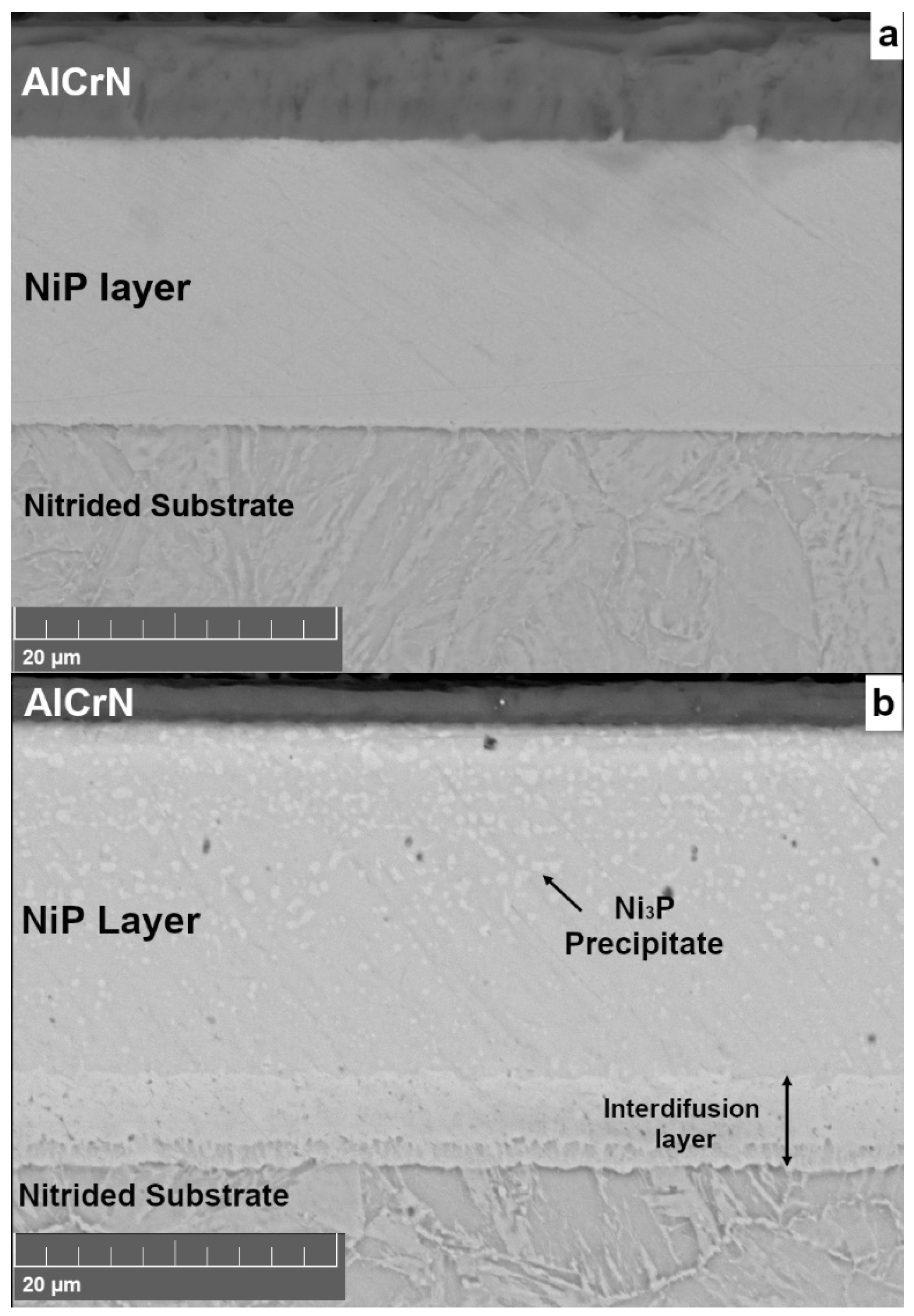 Lubricants 12 00181 g003