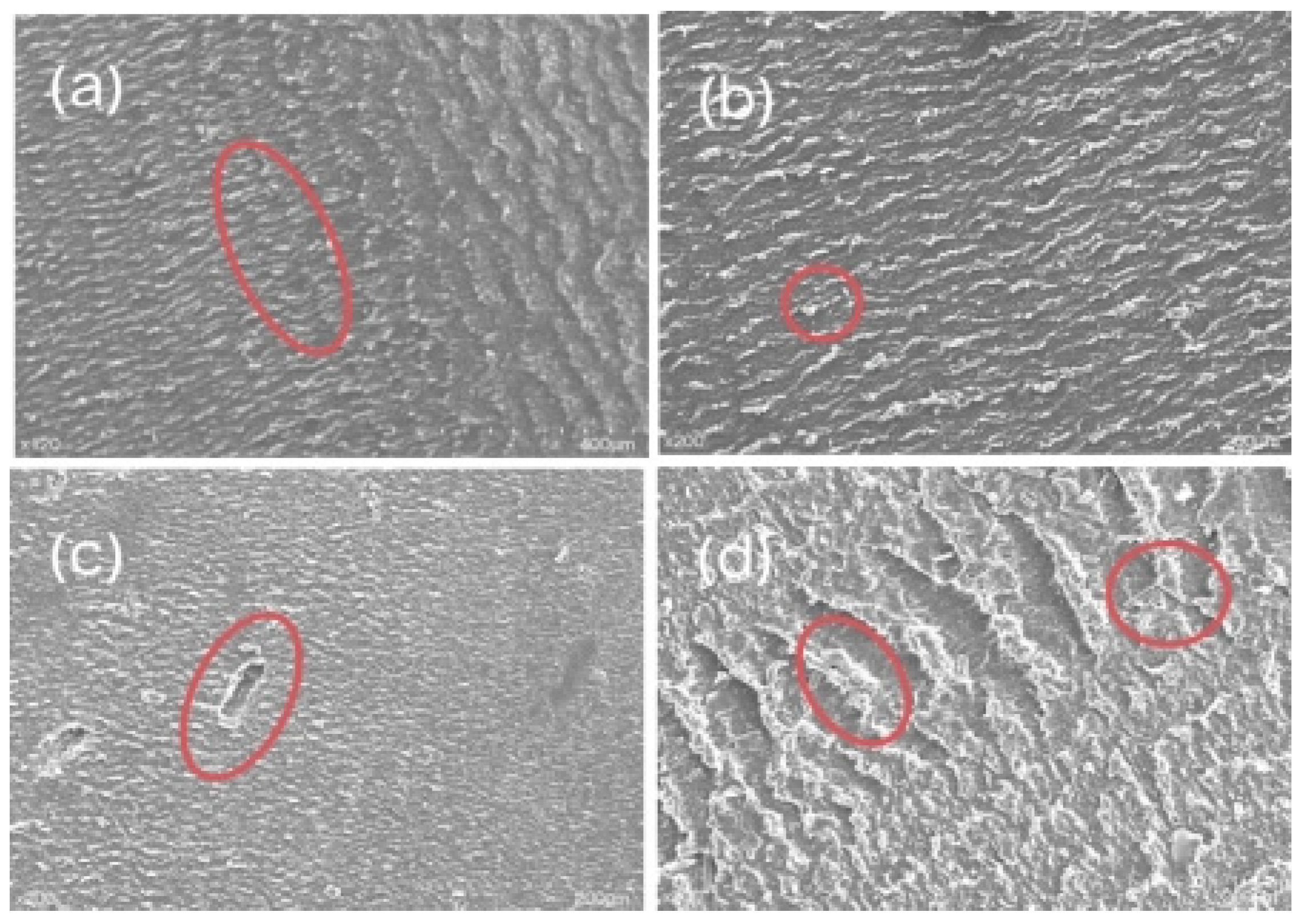 Materials 16 05773 g014