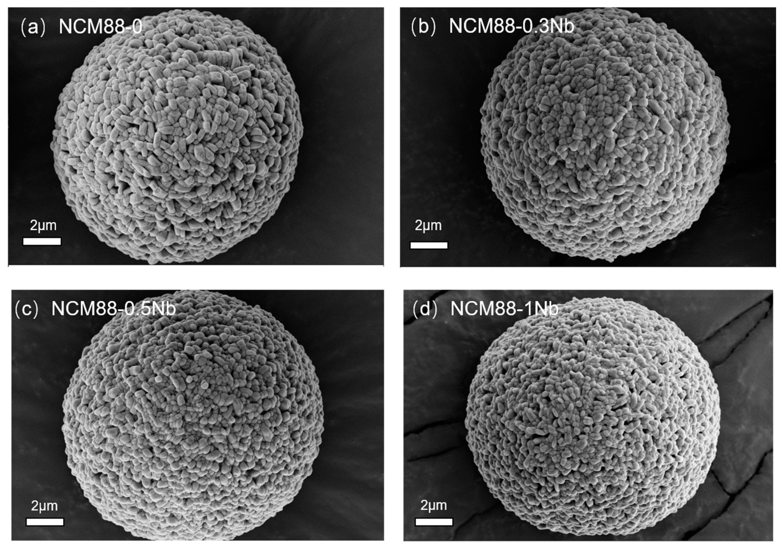 Materials 17 02127 g001