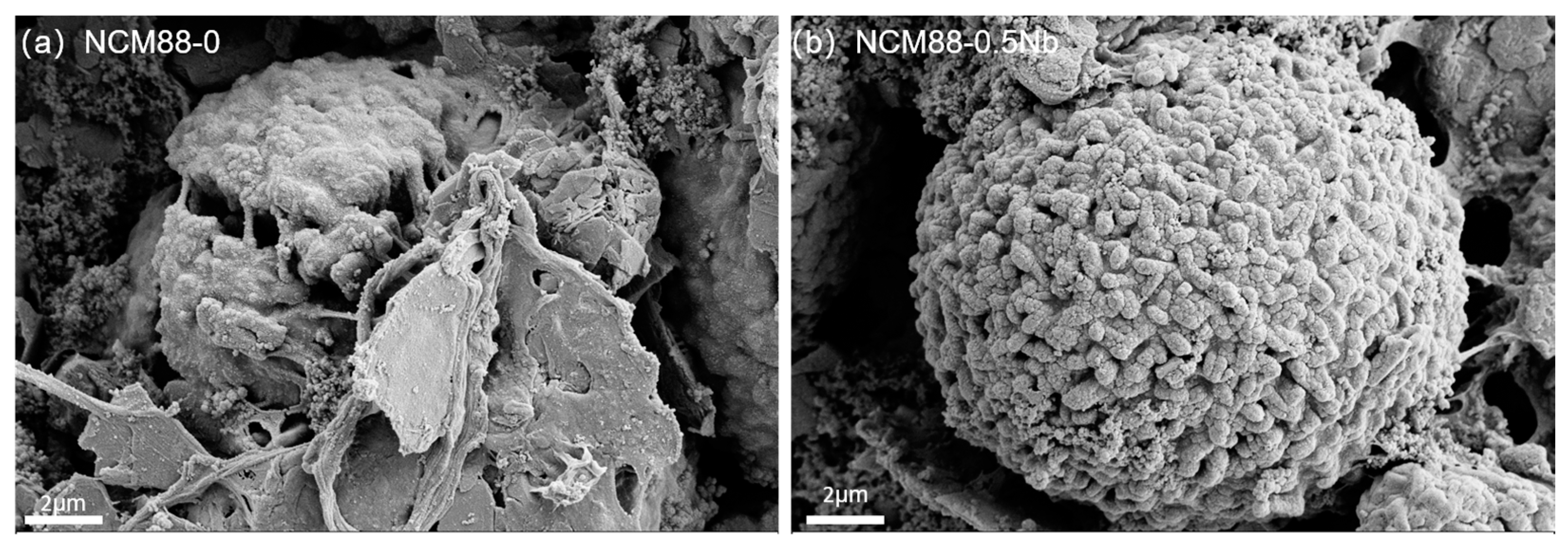 Materials 17 02127 g013