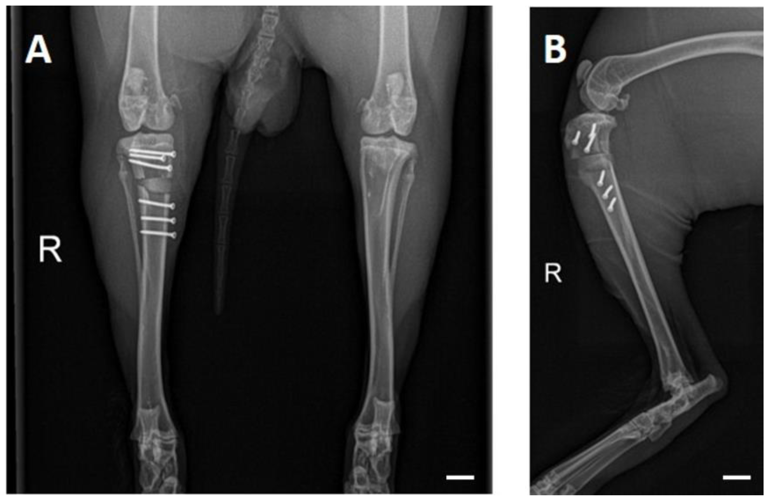 Materials 17 02136 g002