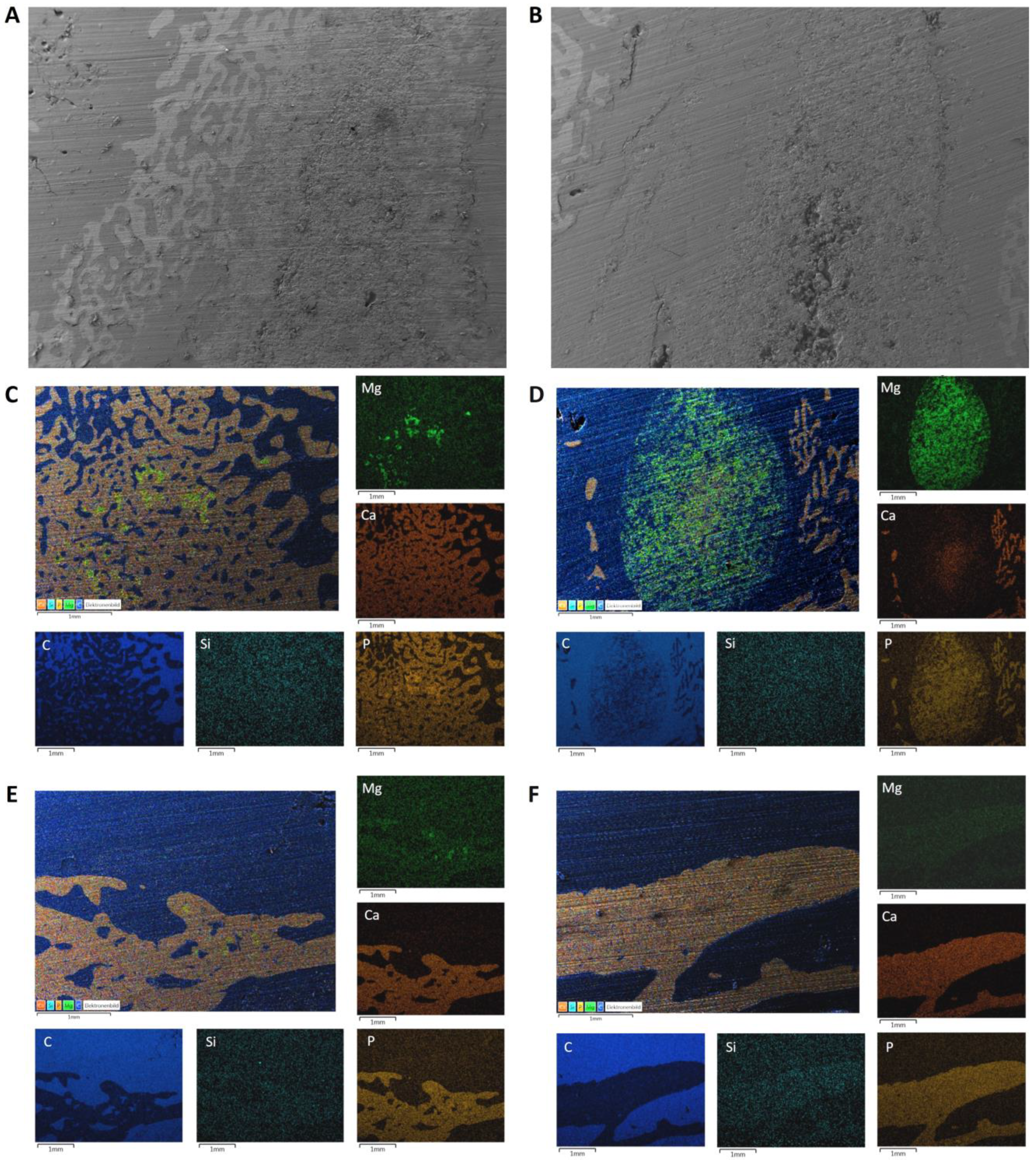 Materials 17 02136 g010