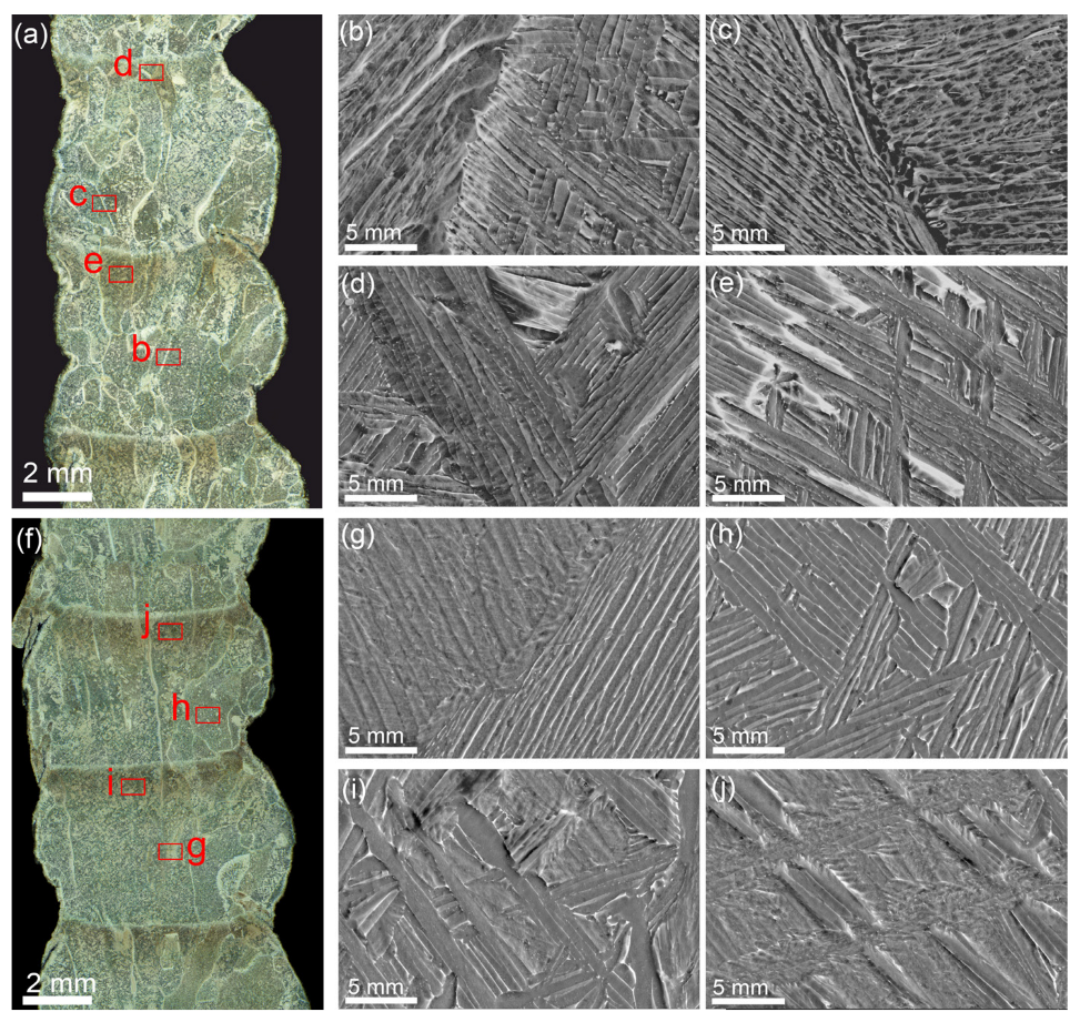 Materials 17 02325 g005