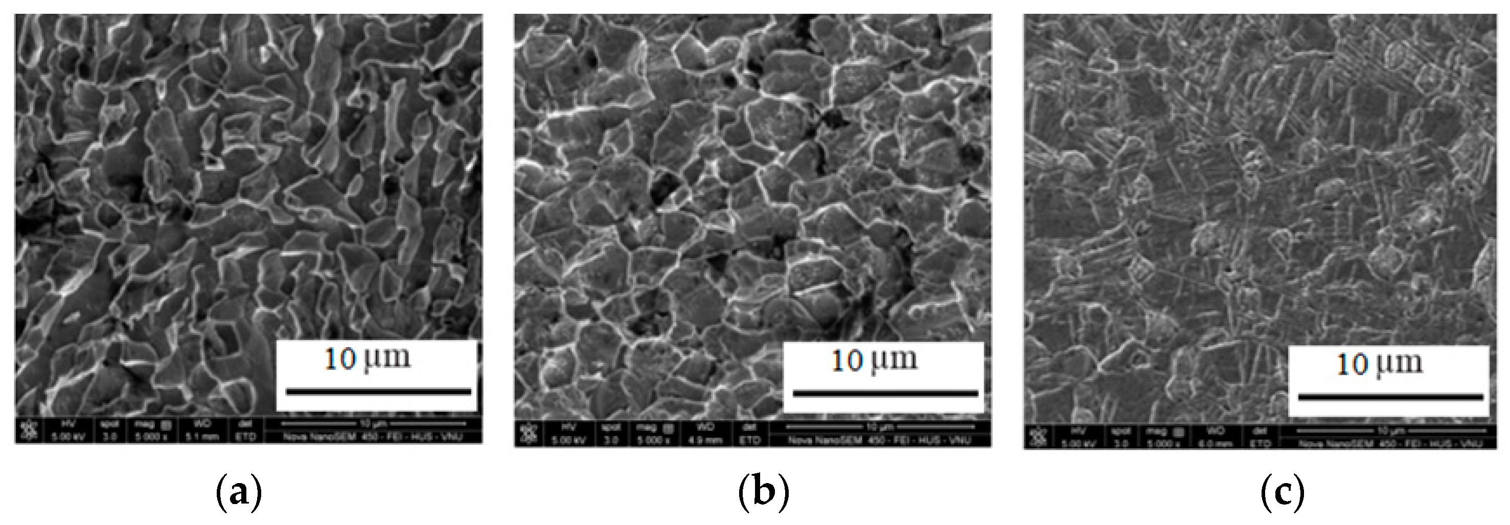 Materproc 03 00015 g006