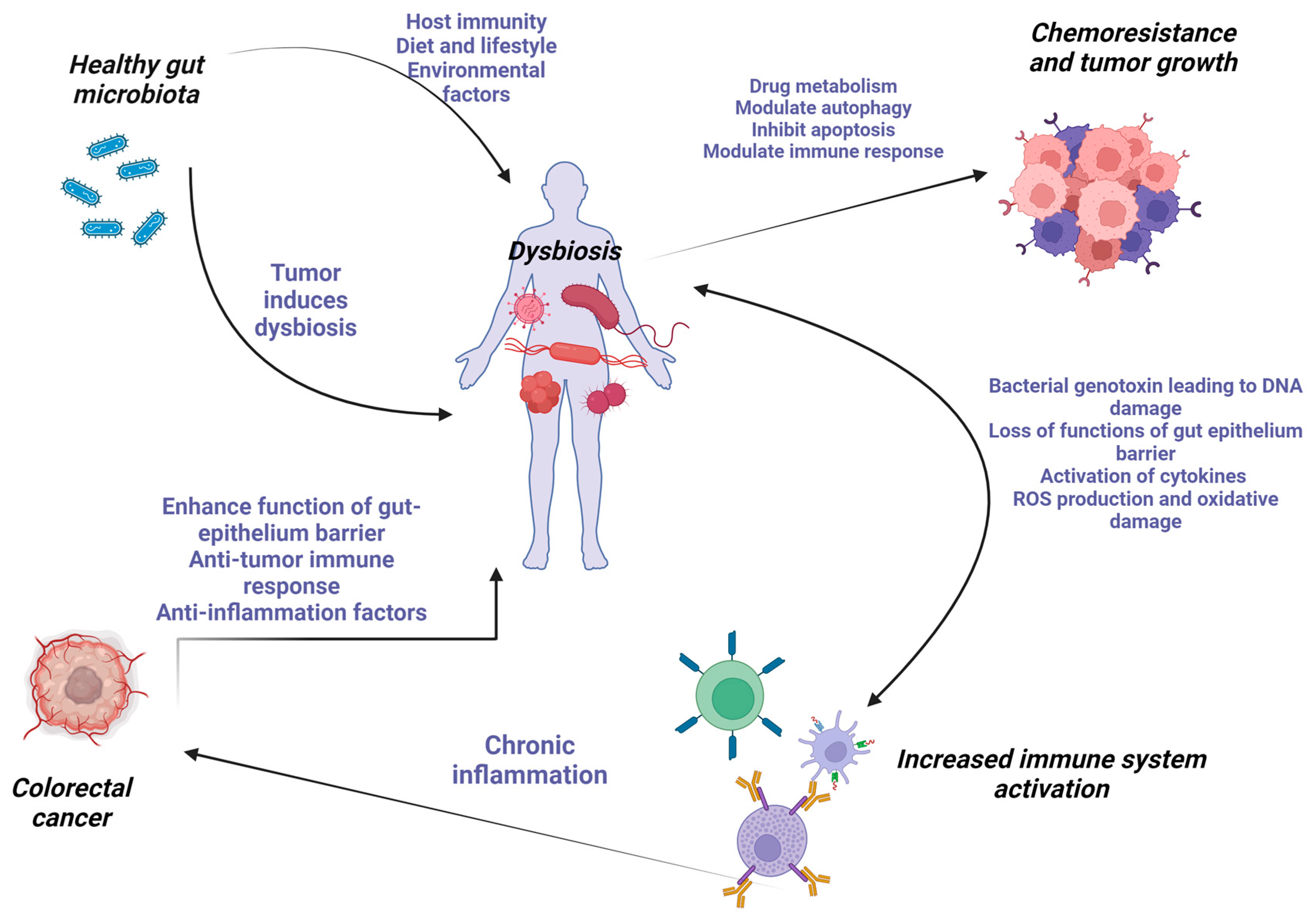 Microorganisms 12 00955 g001