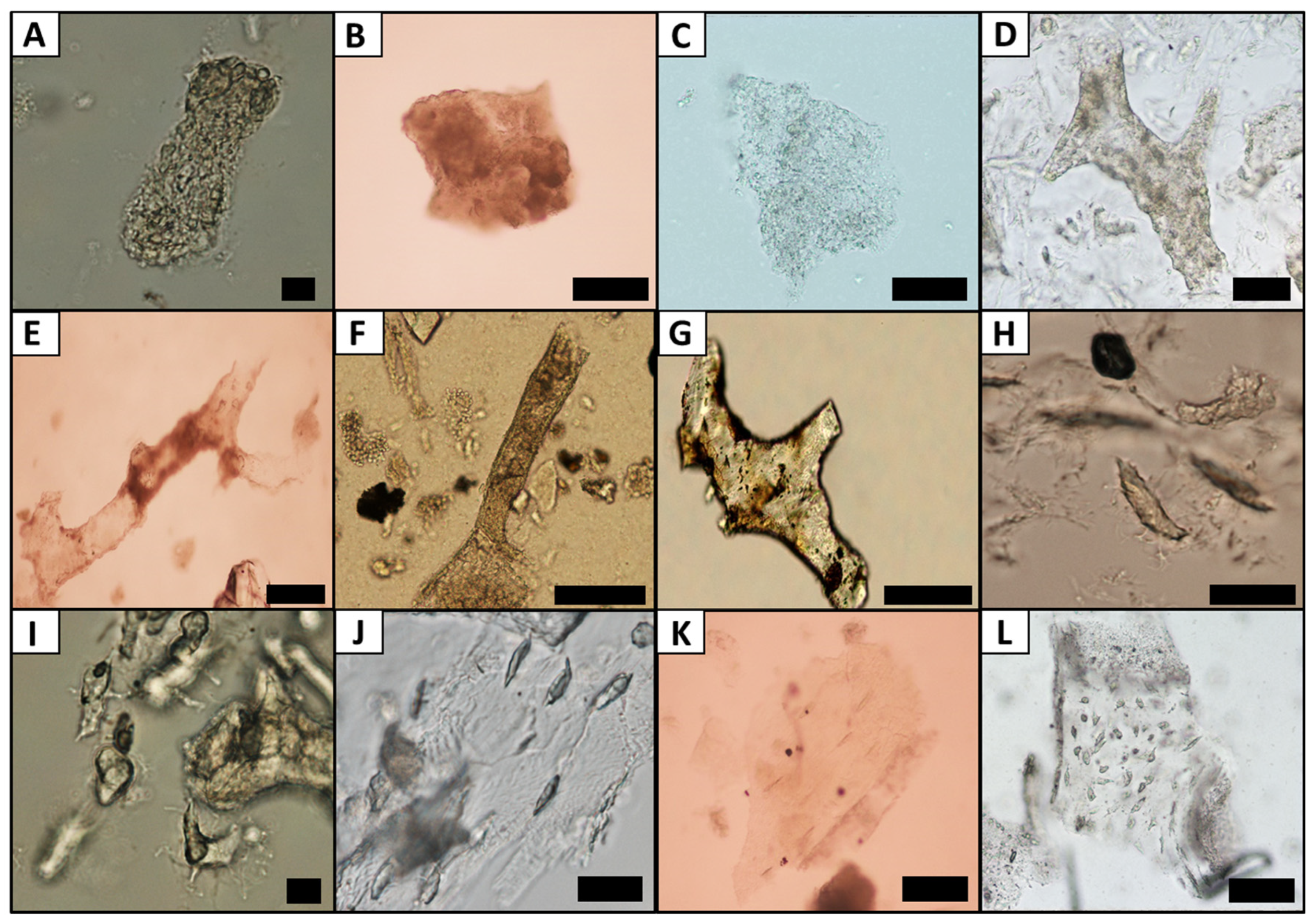 Minerals 14 00497 g006