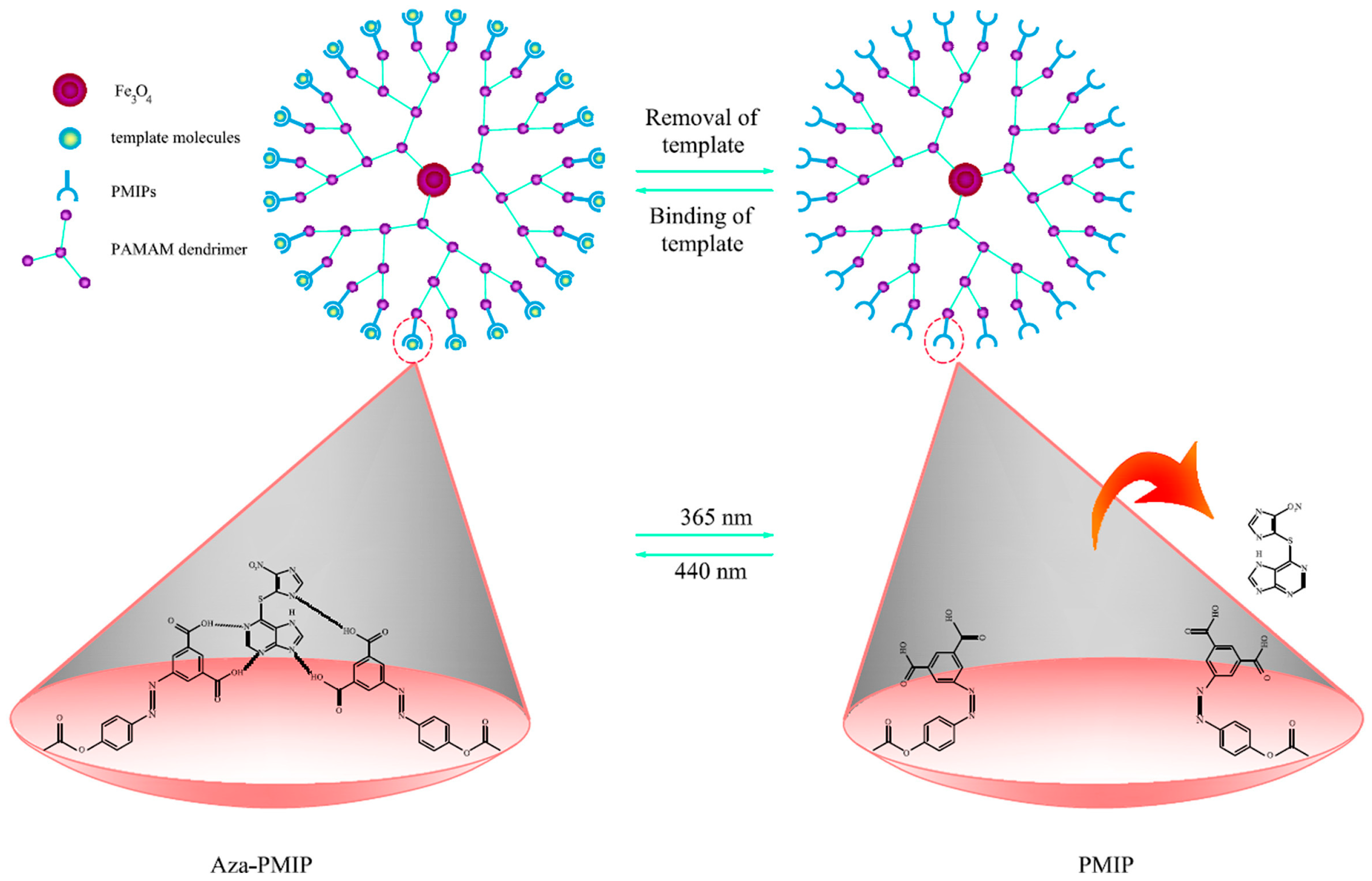 Molecules 29 02278 g002
