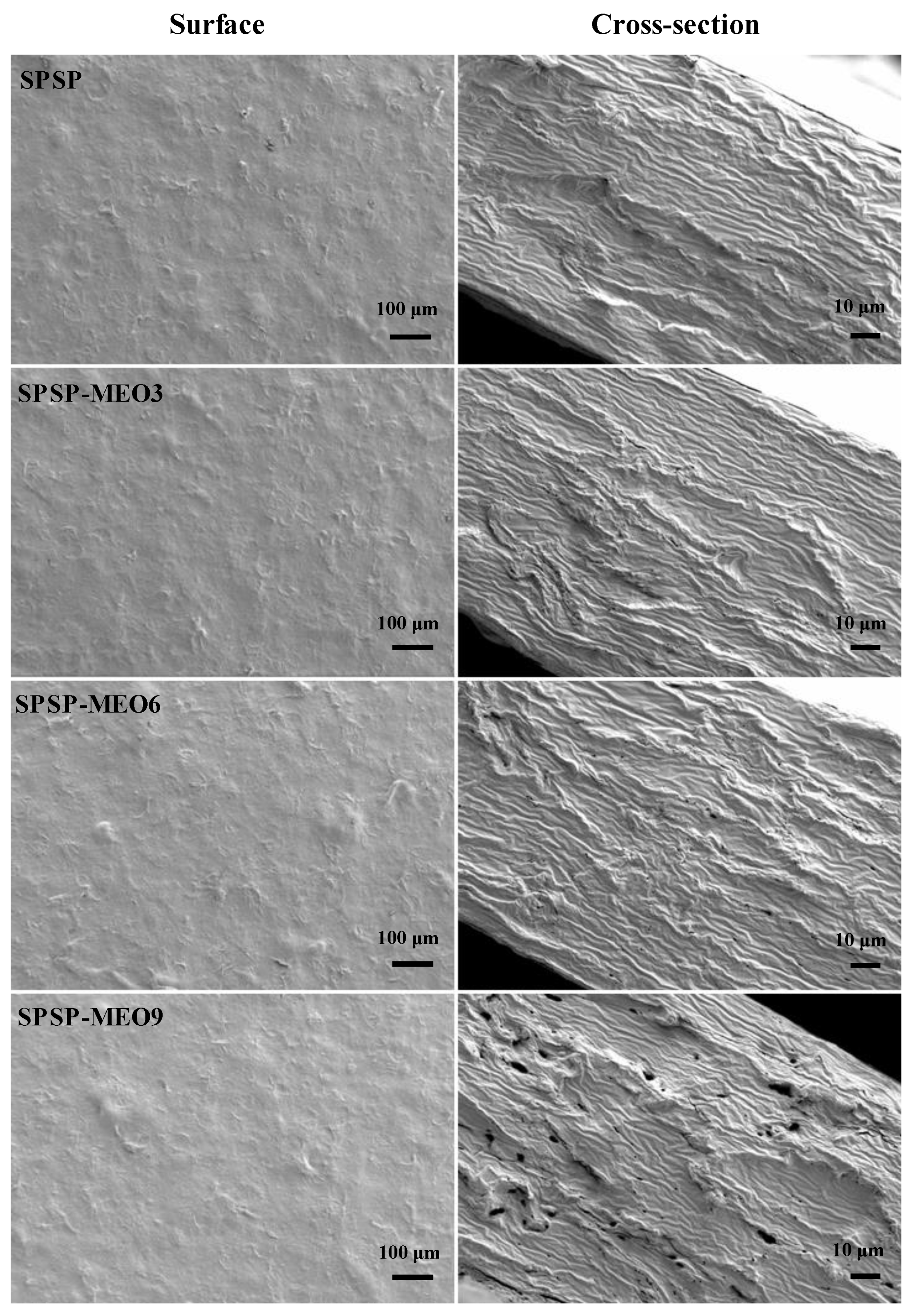 Molecules 29 02314 g001