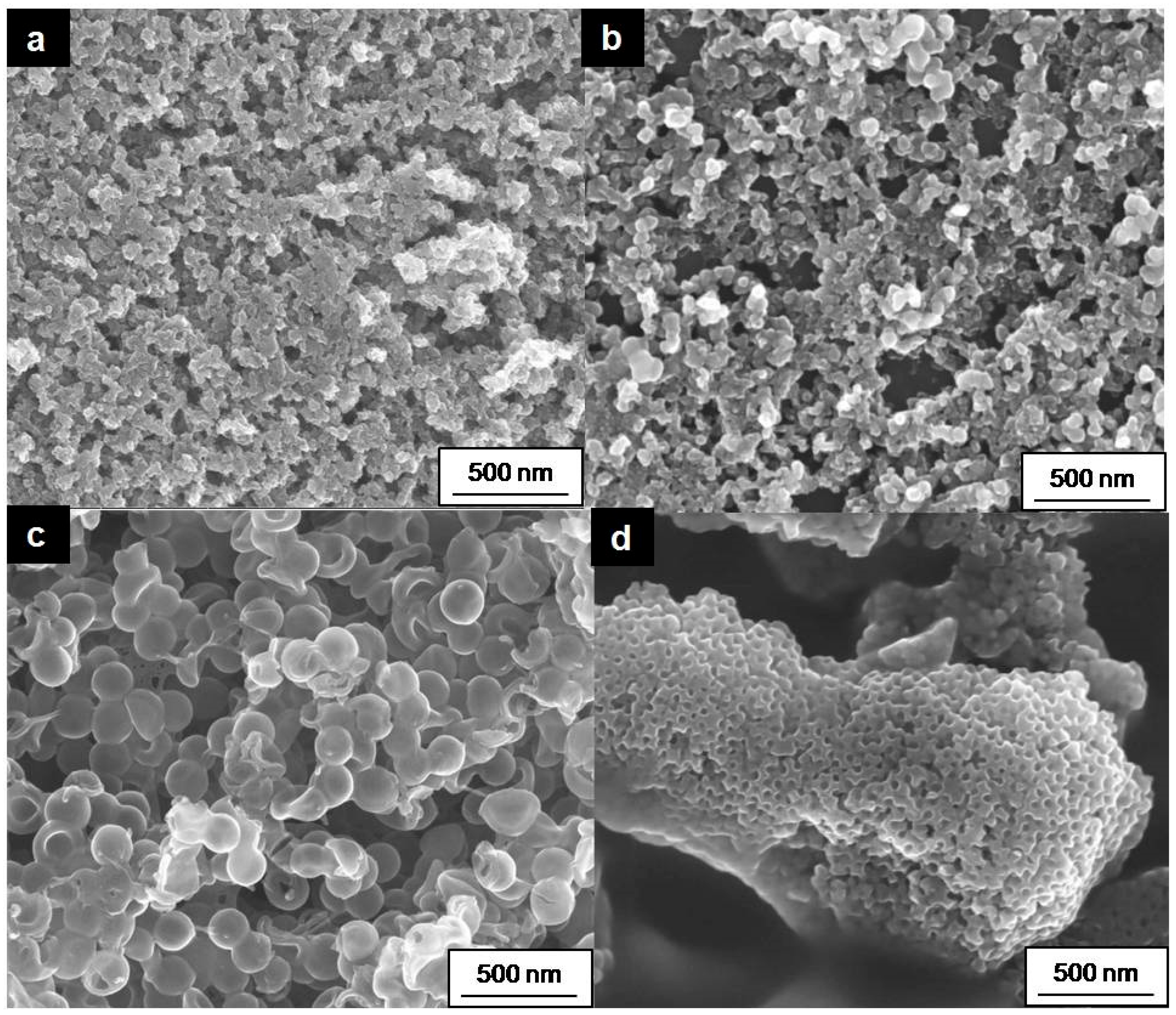 Molecules 29 02324 g004