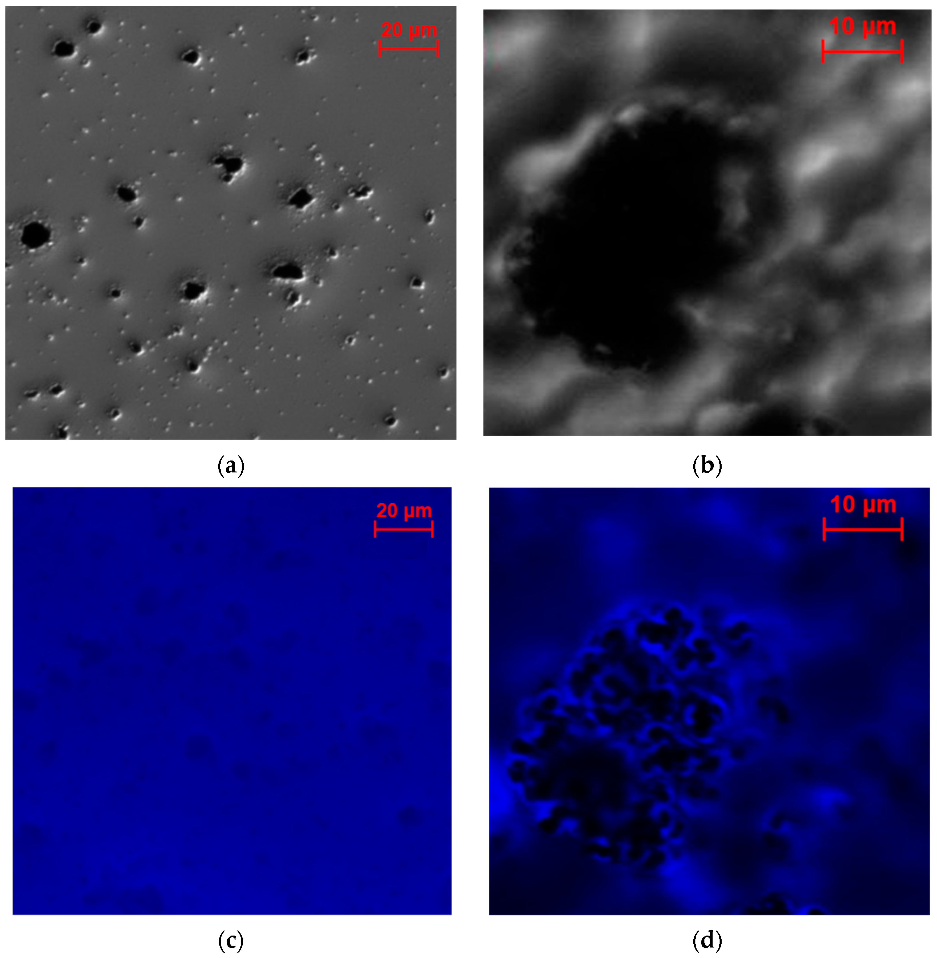 Molecules 29 02324 g009