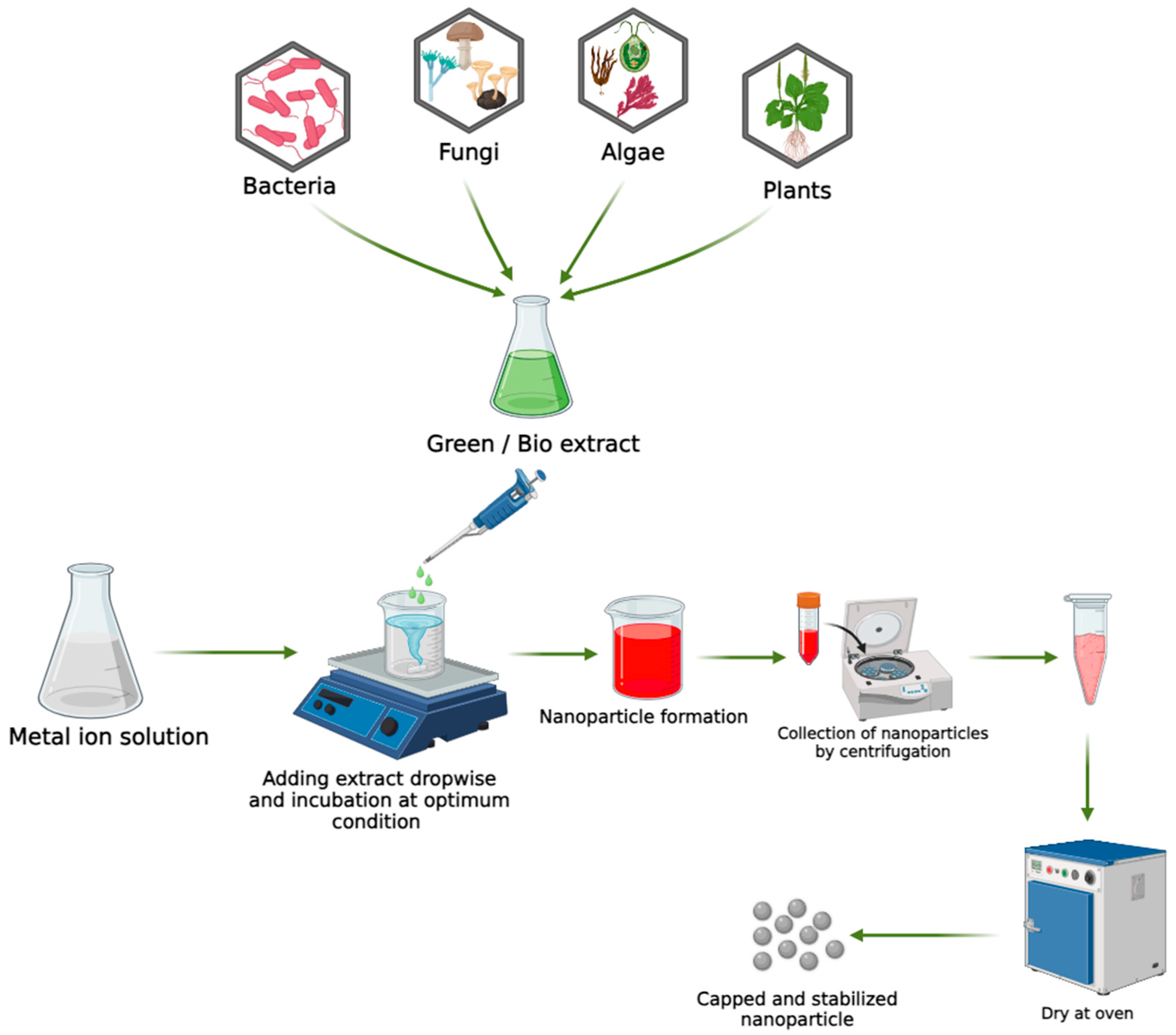 Molecules 29 02428 g001