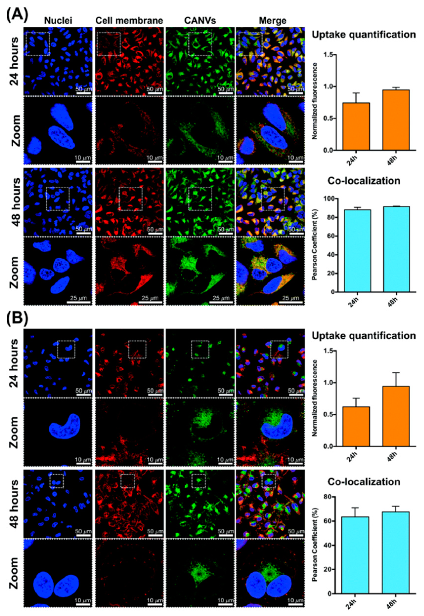 Nanomaterials 13 02486 g006