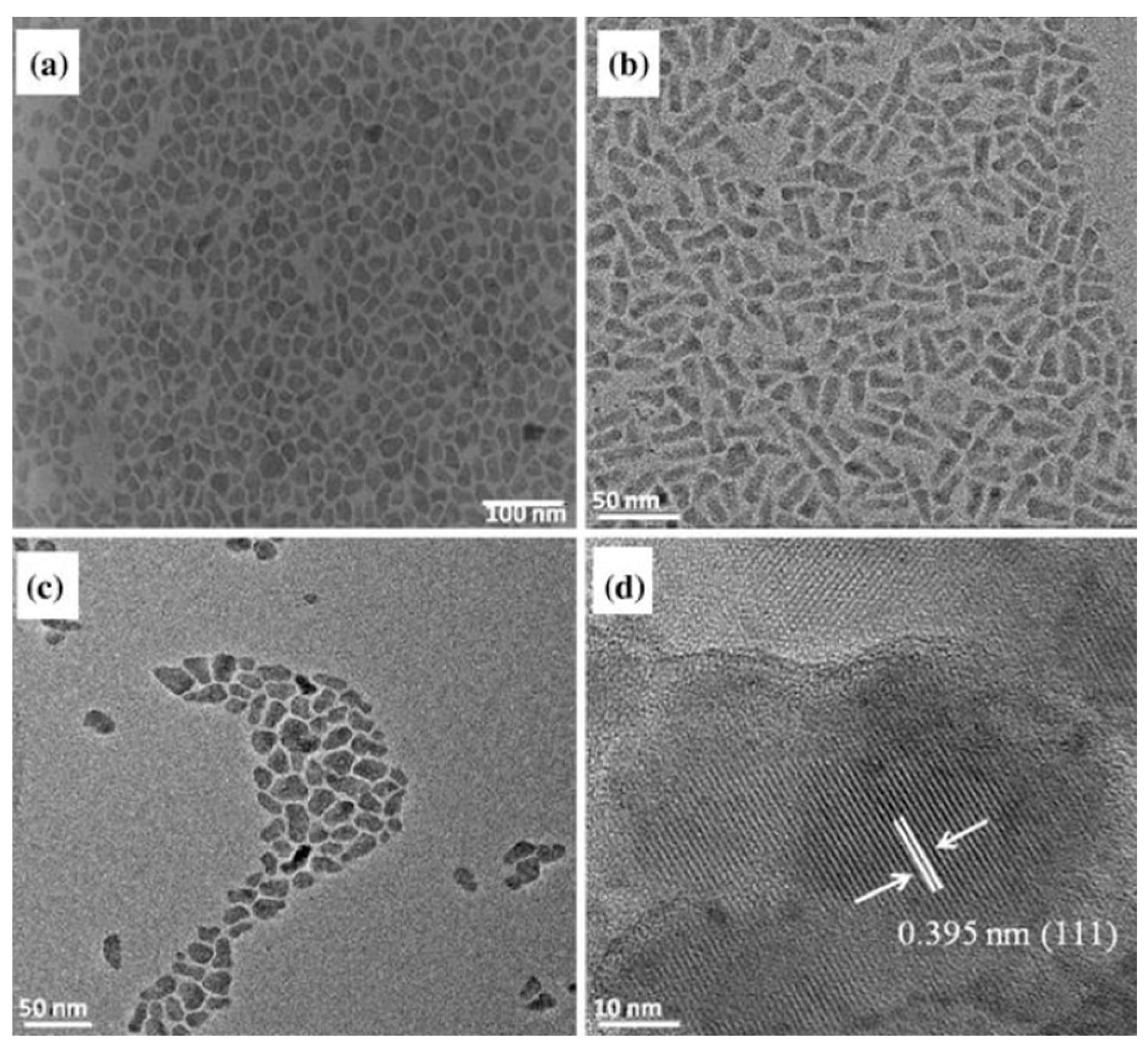 Nanomaterials 13 02486 g009