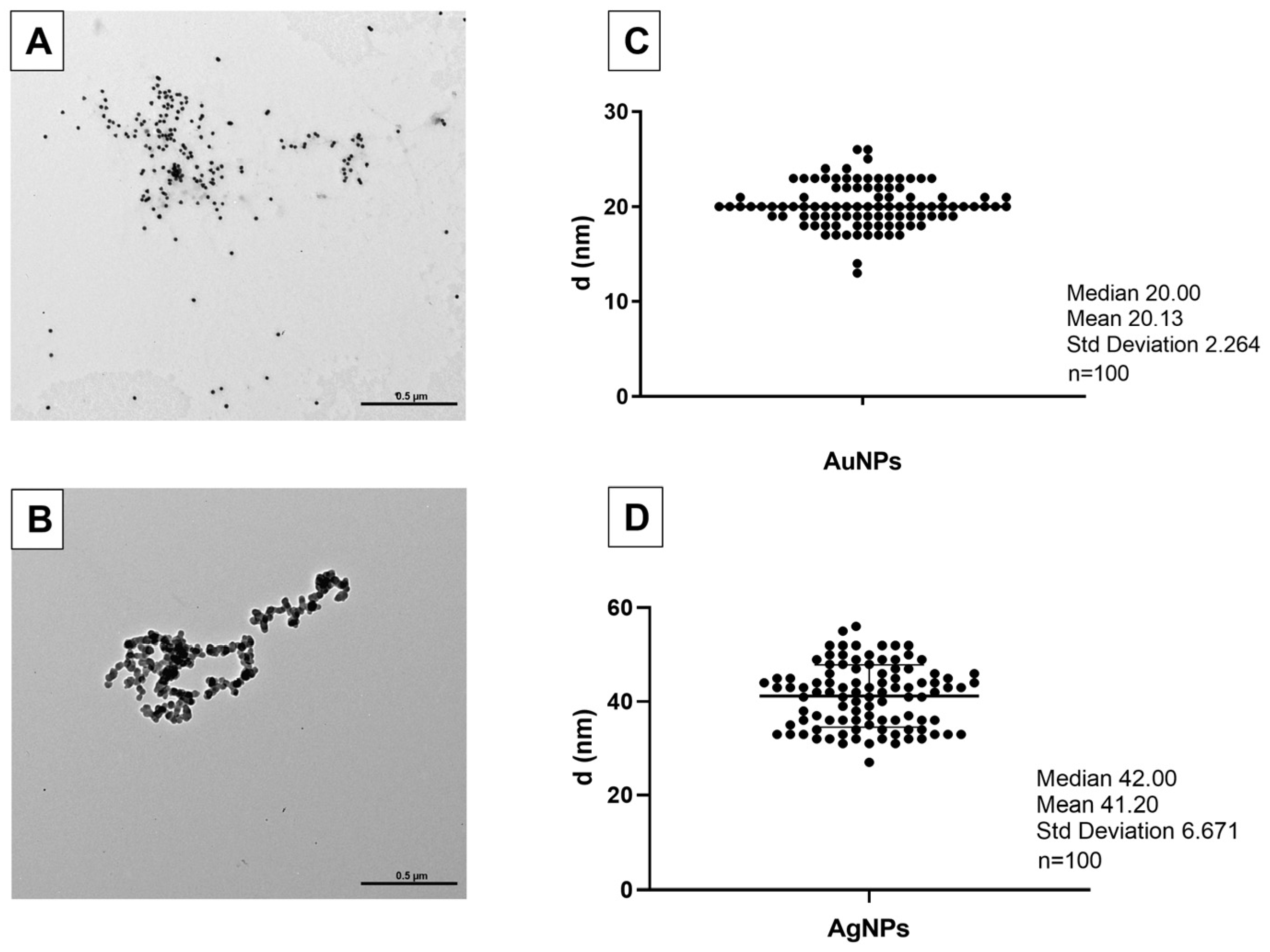 Nanomaterials 13 02488 g001